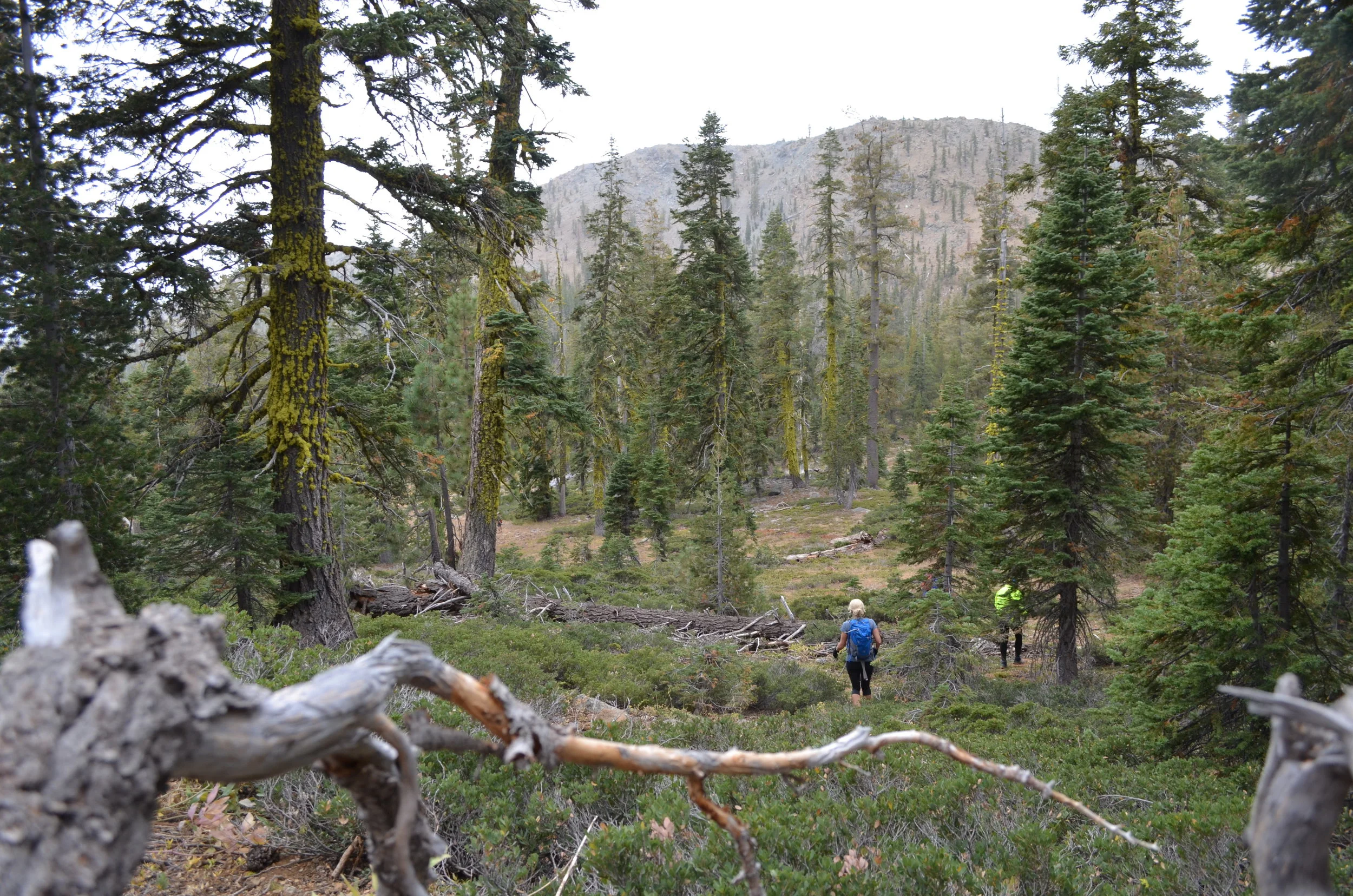 DSC_0850.JPG