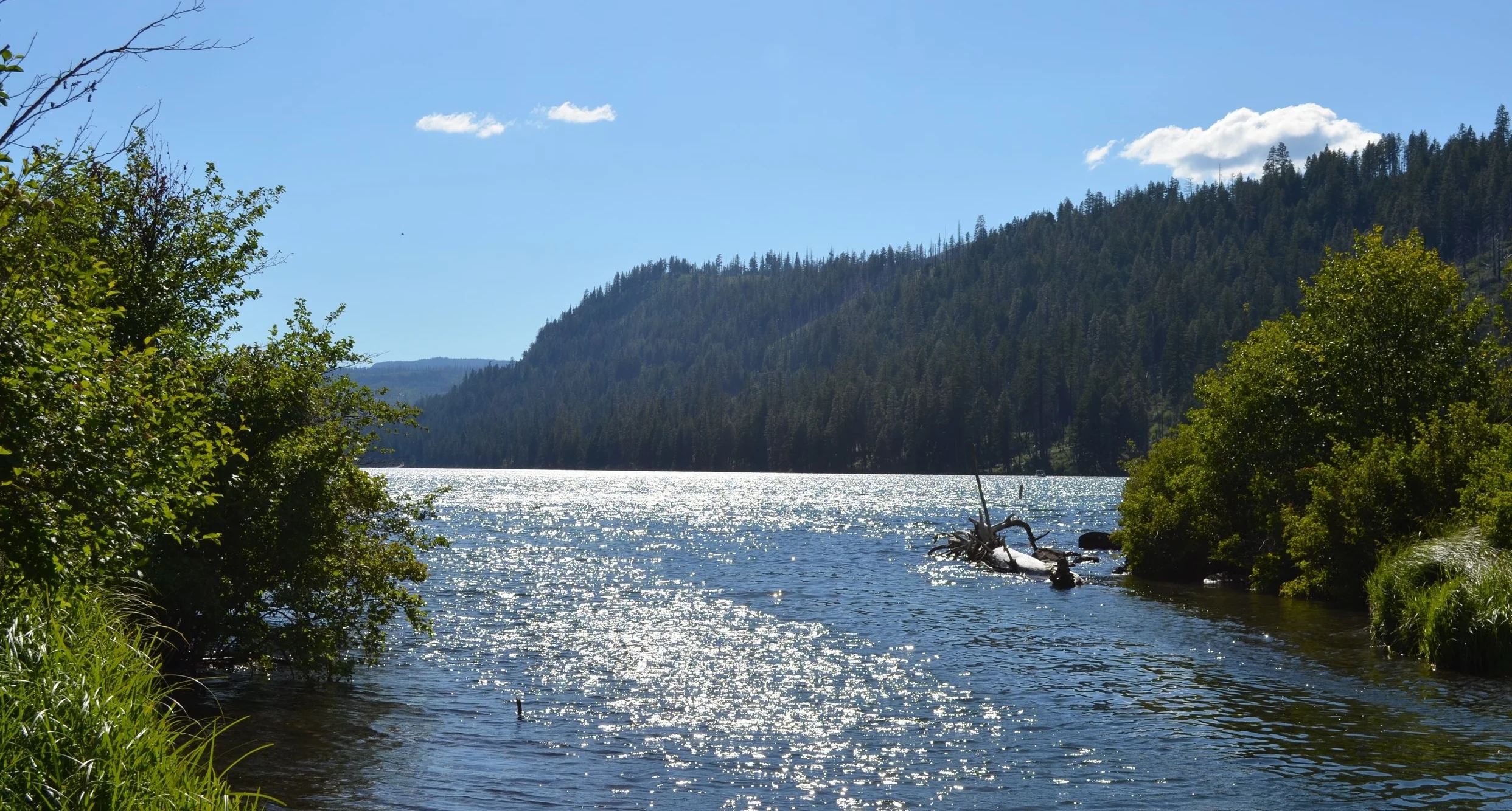 DSC_0492.jpg