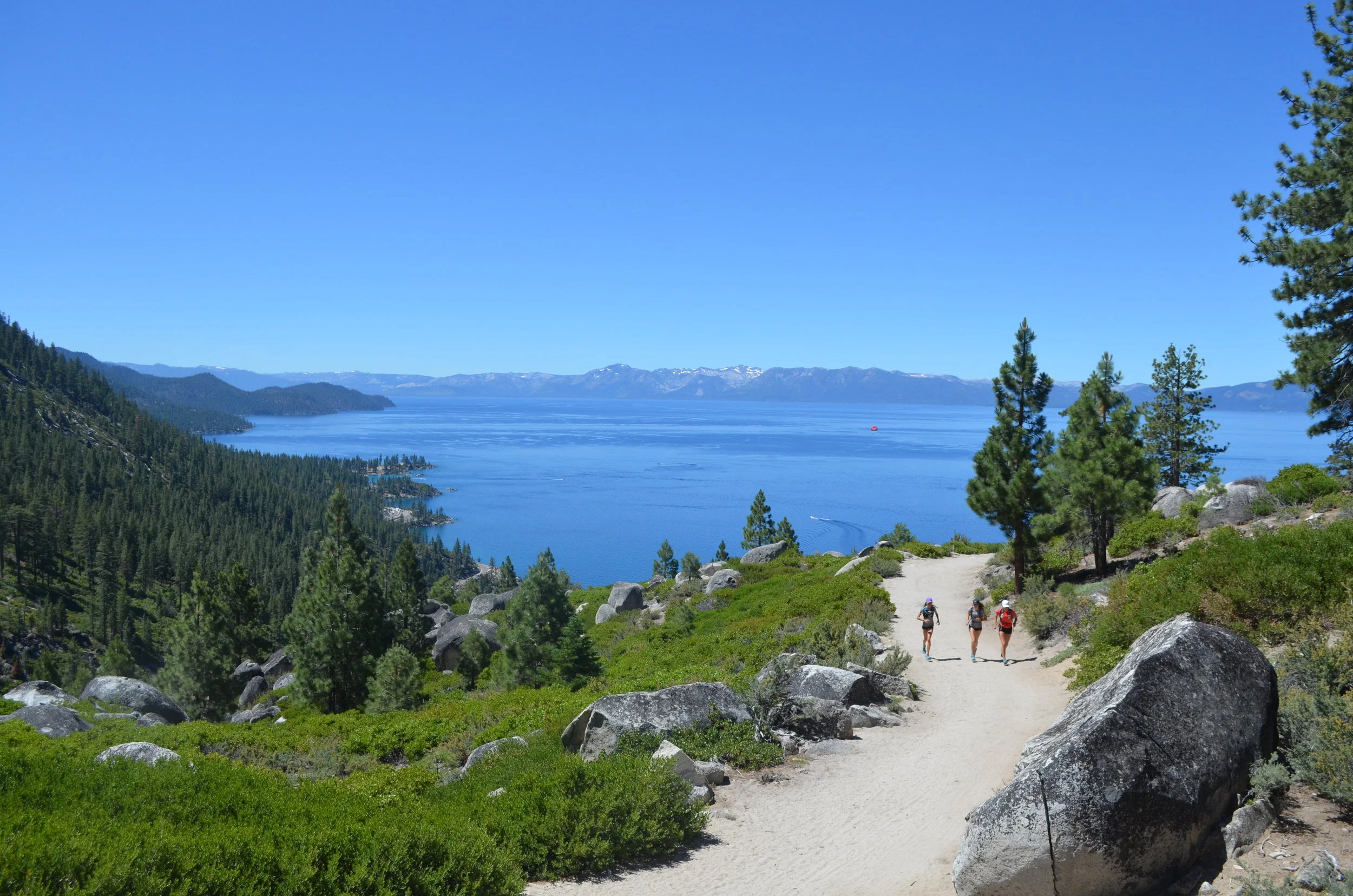 DSC_0208.JPG