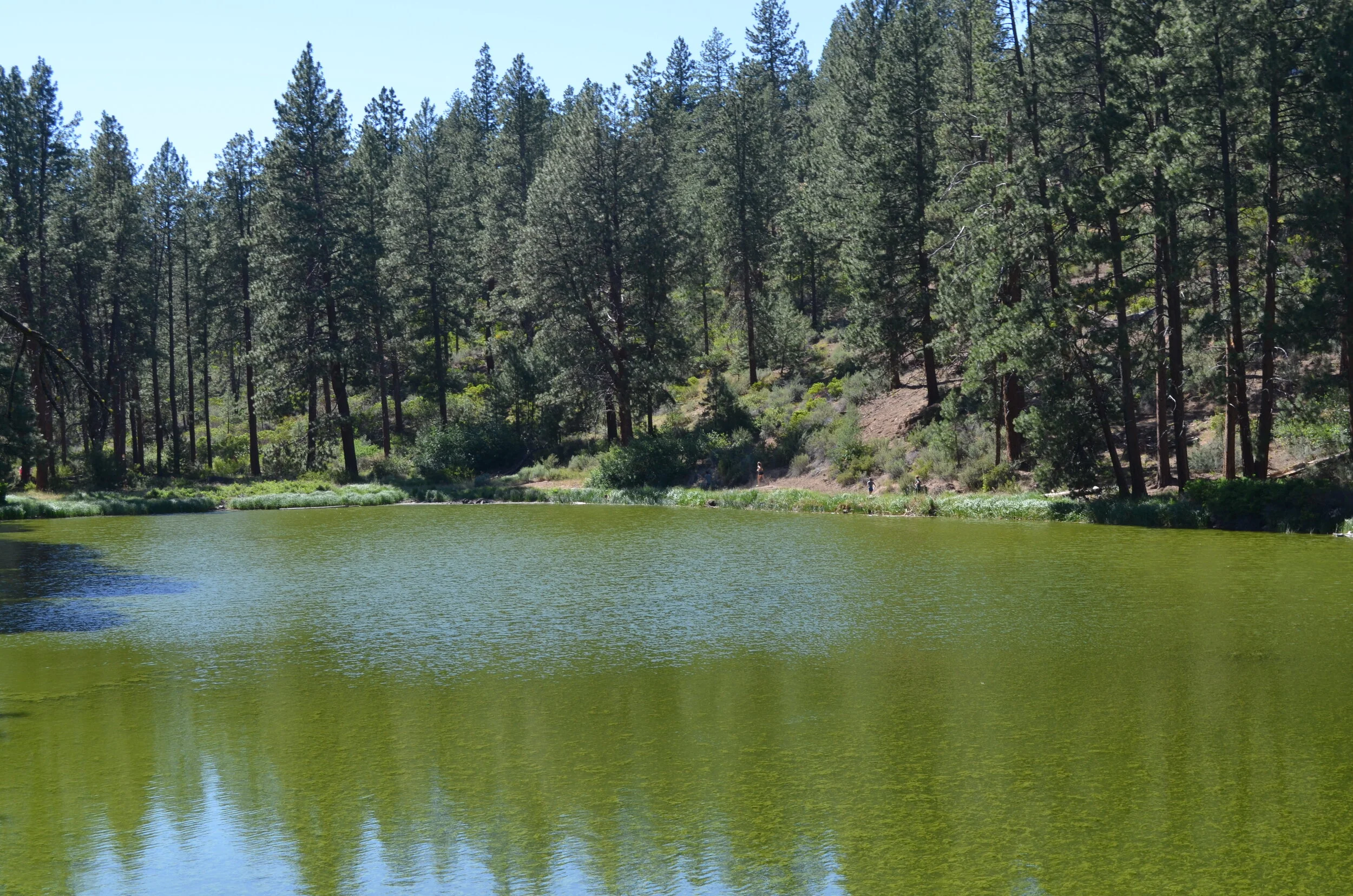 DSC_0316.JPG