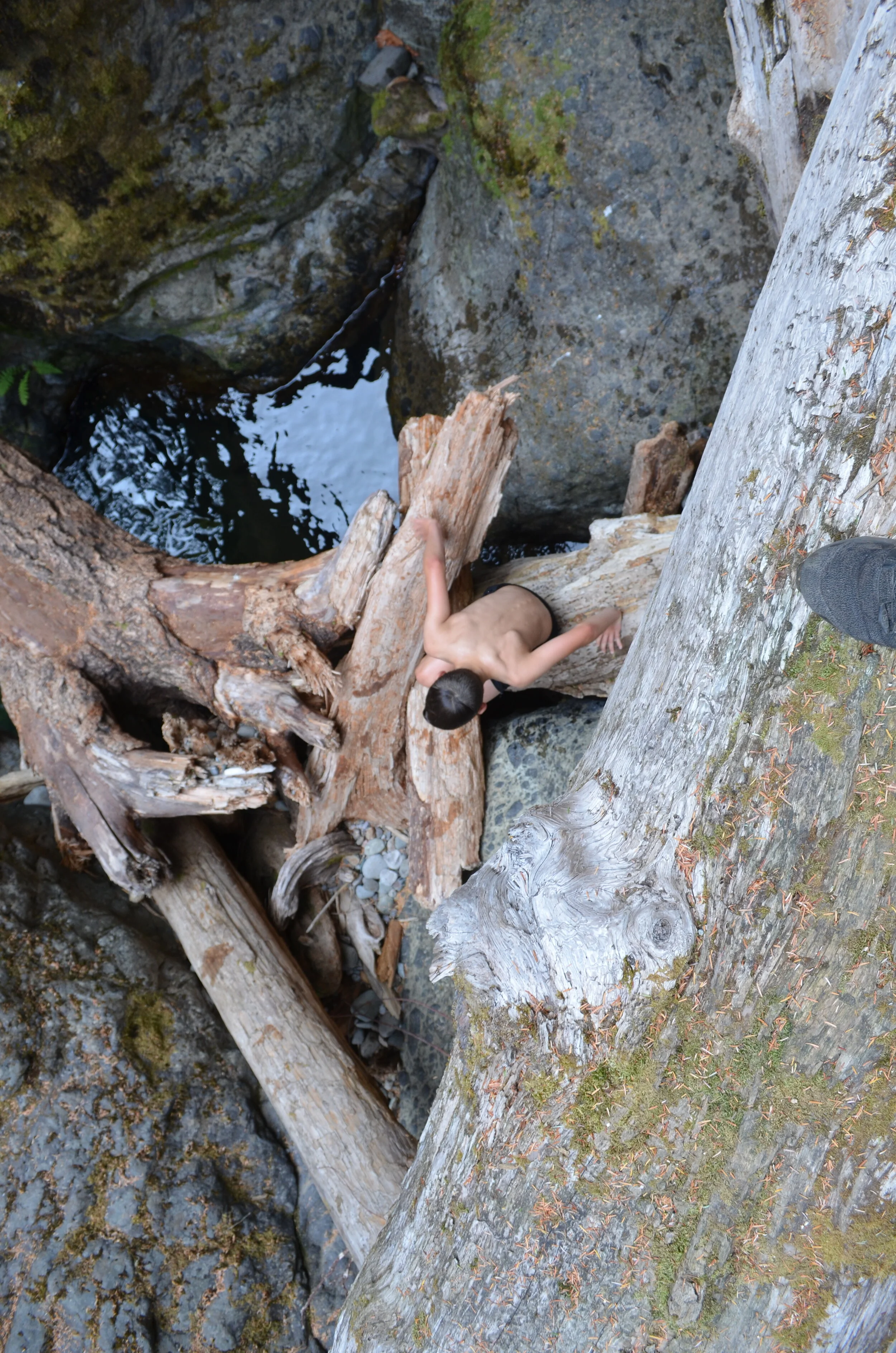 DSC_0104.JPG
