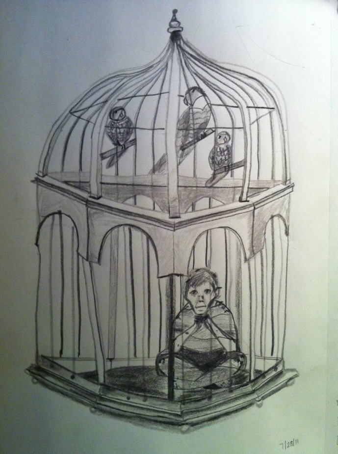 Birdcage Punishment