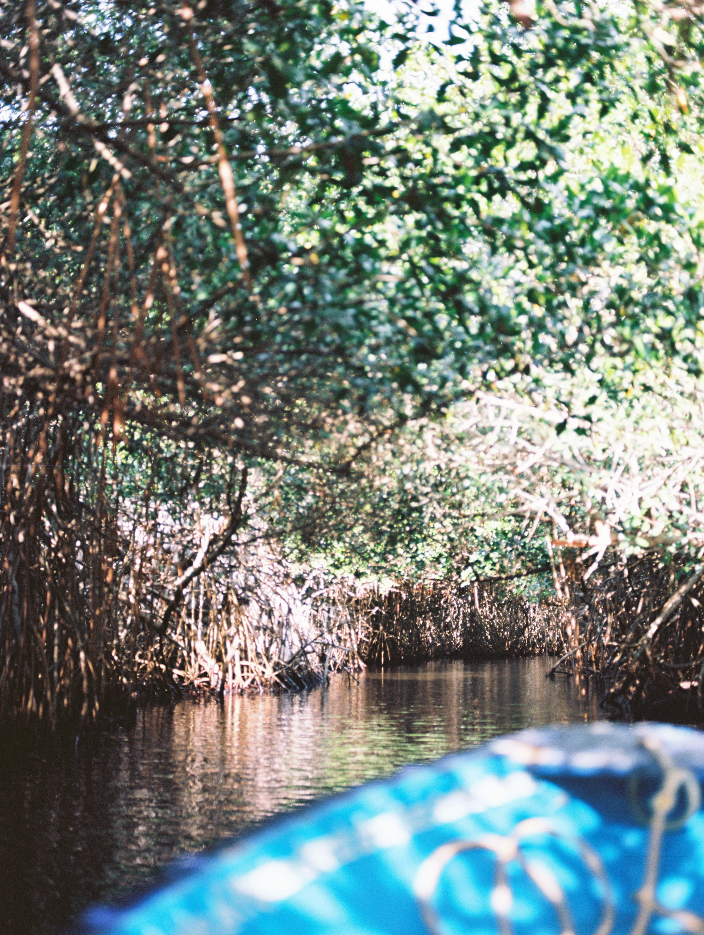 Mexico Film Wedding Photographer