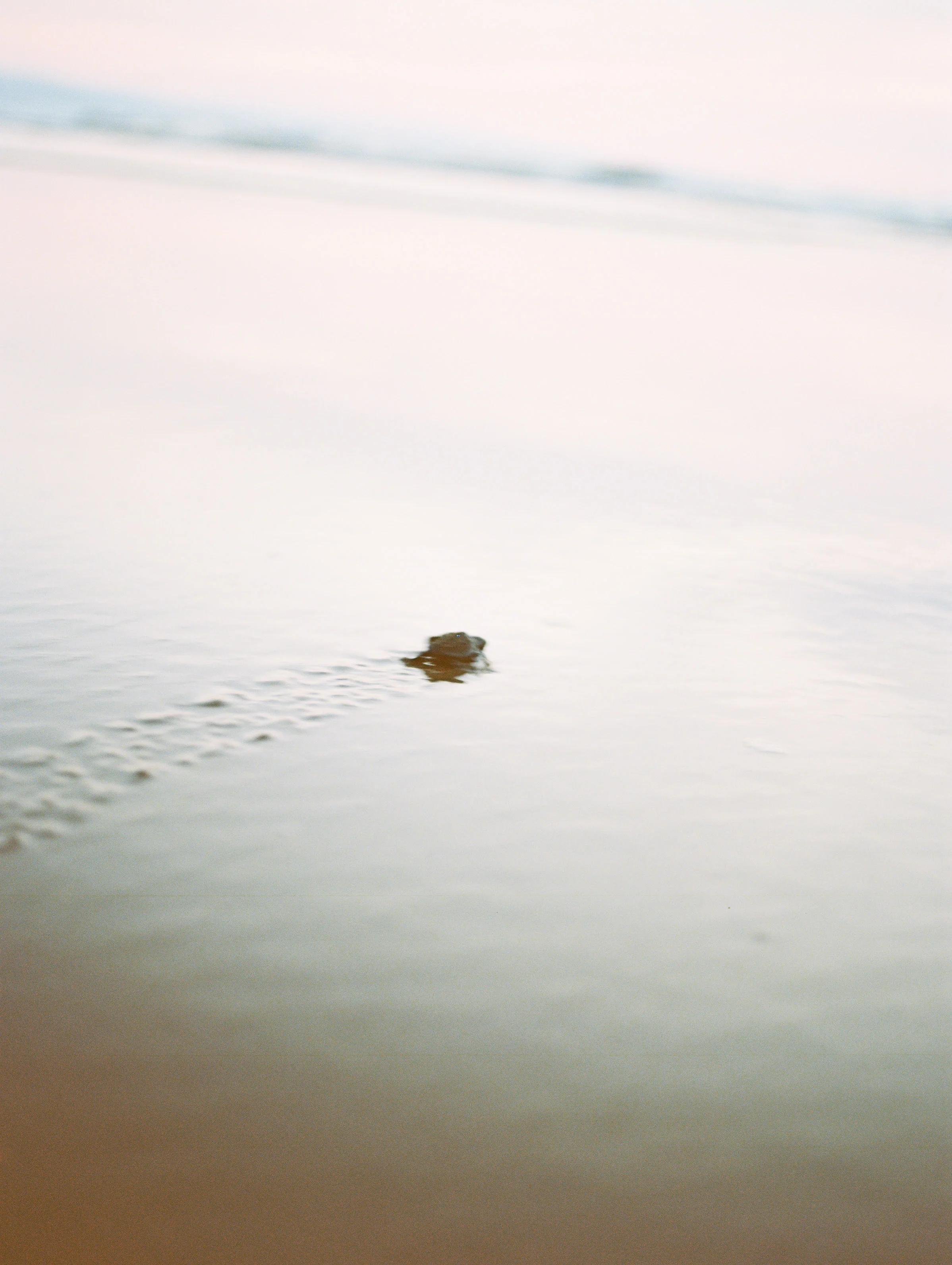 Mexico Film Wedding Photographer