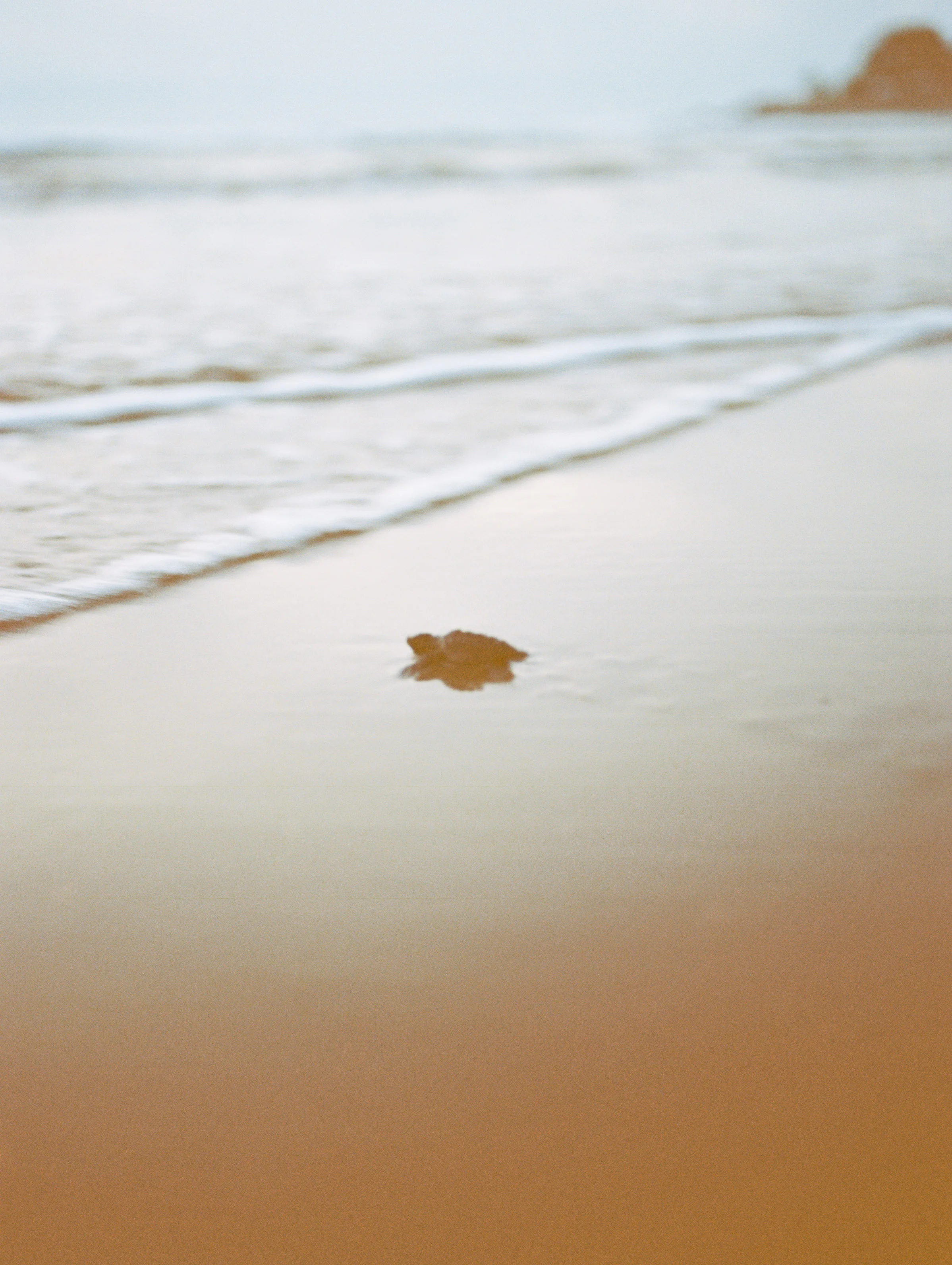 Mexico Film Wedding Photographer
