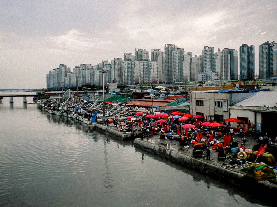 My neighborhood was a fishing village. This is a photo of the fish market with apartments behind it.