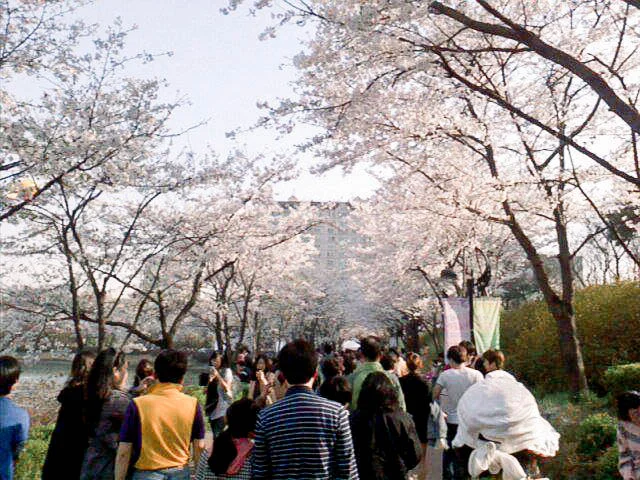 Korea Blog-32.jpg