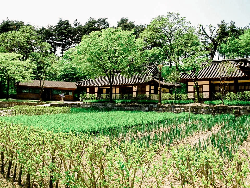Korea Blog-39.jpg