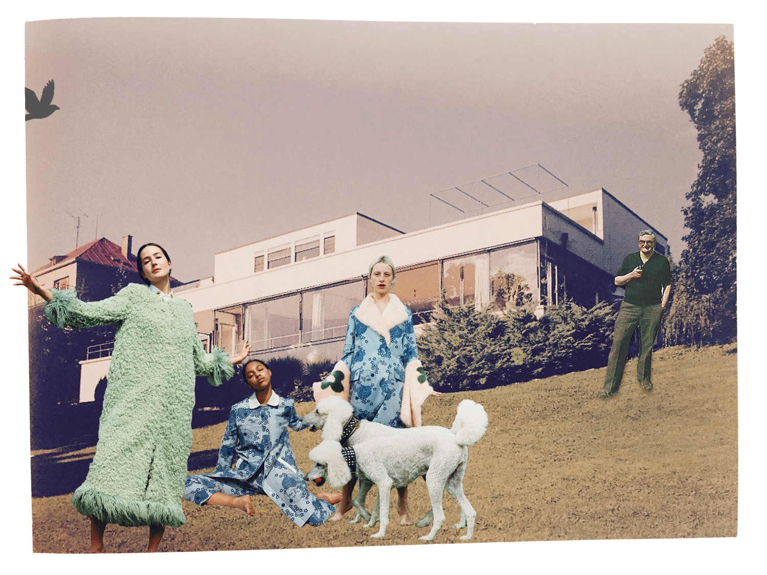 Shrimps- The Fruit of NY Sea