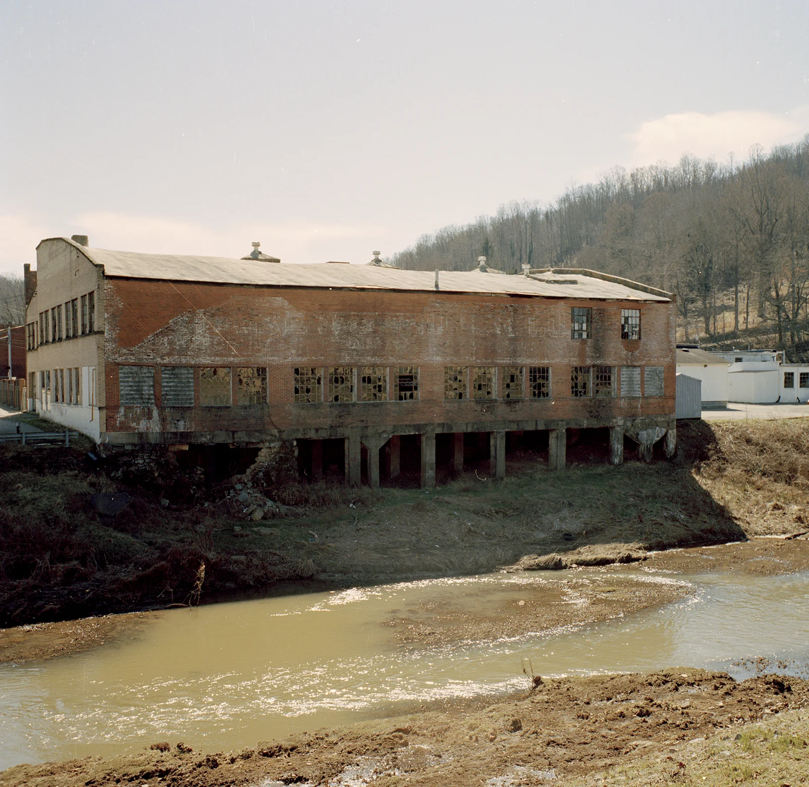mamiya53.jpg