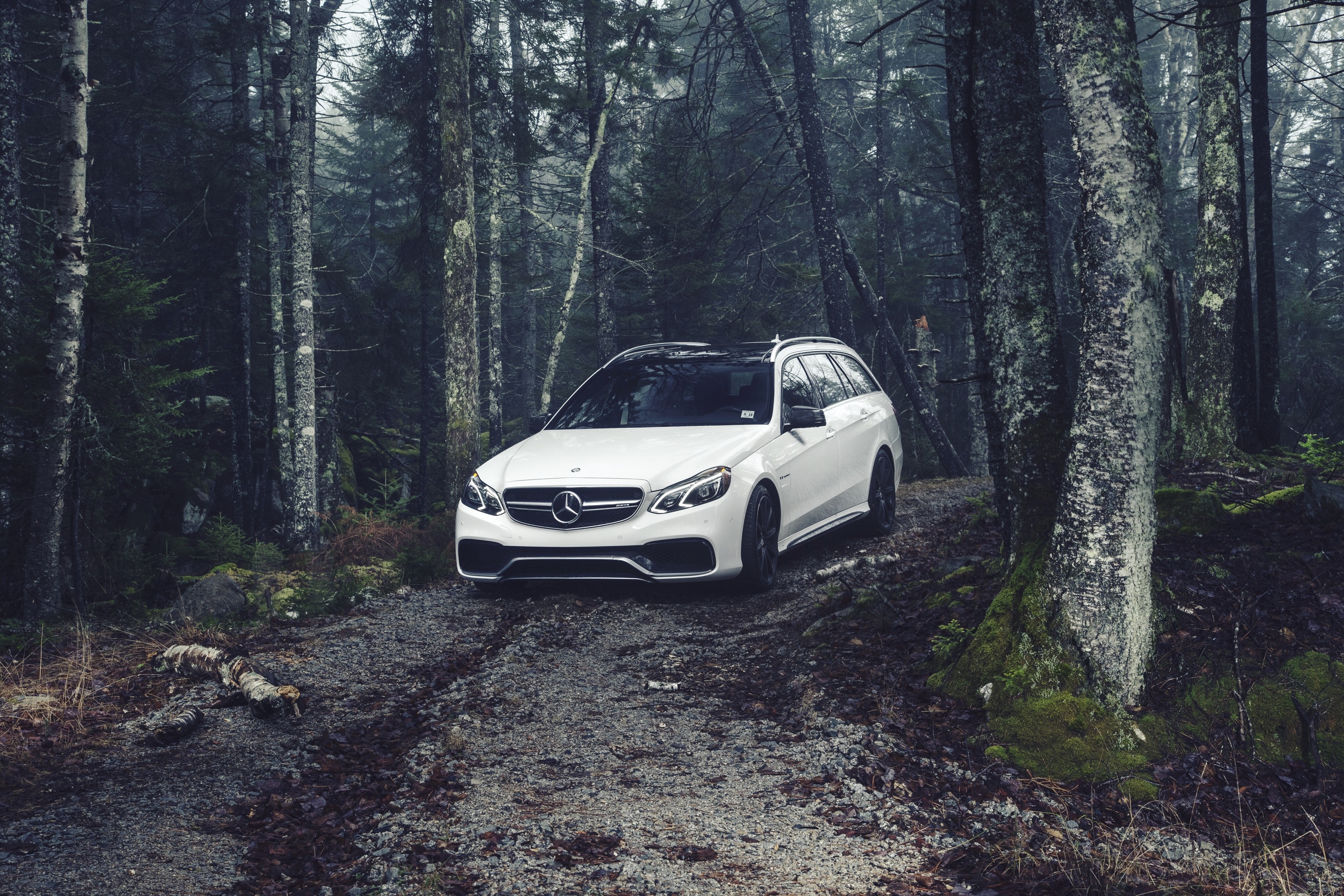 FullSizeRender 11.jpg