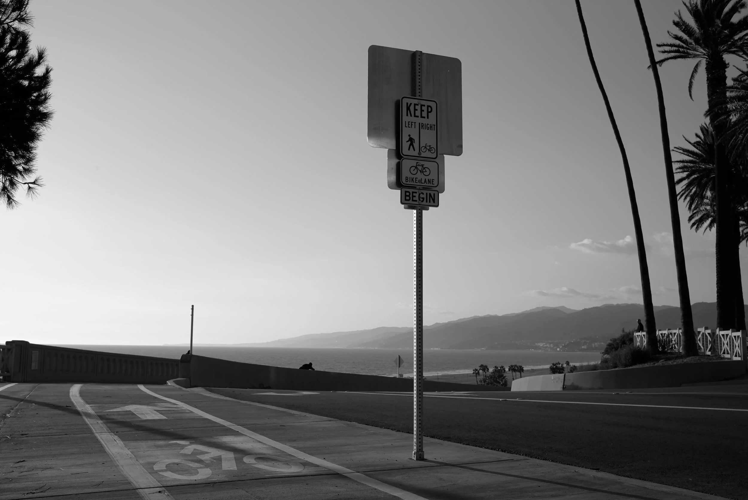 L1000334.jpg
