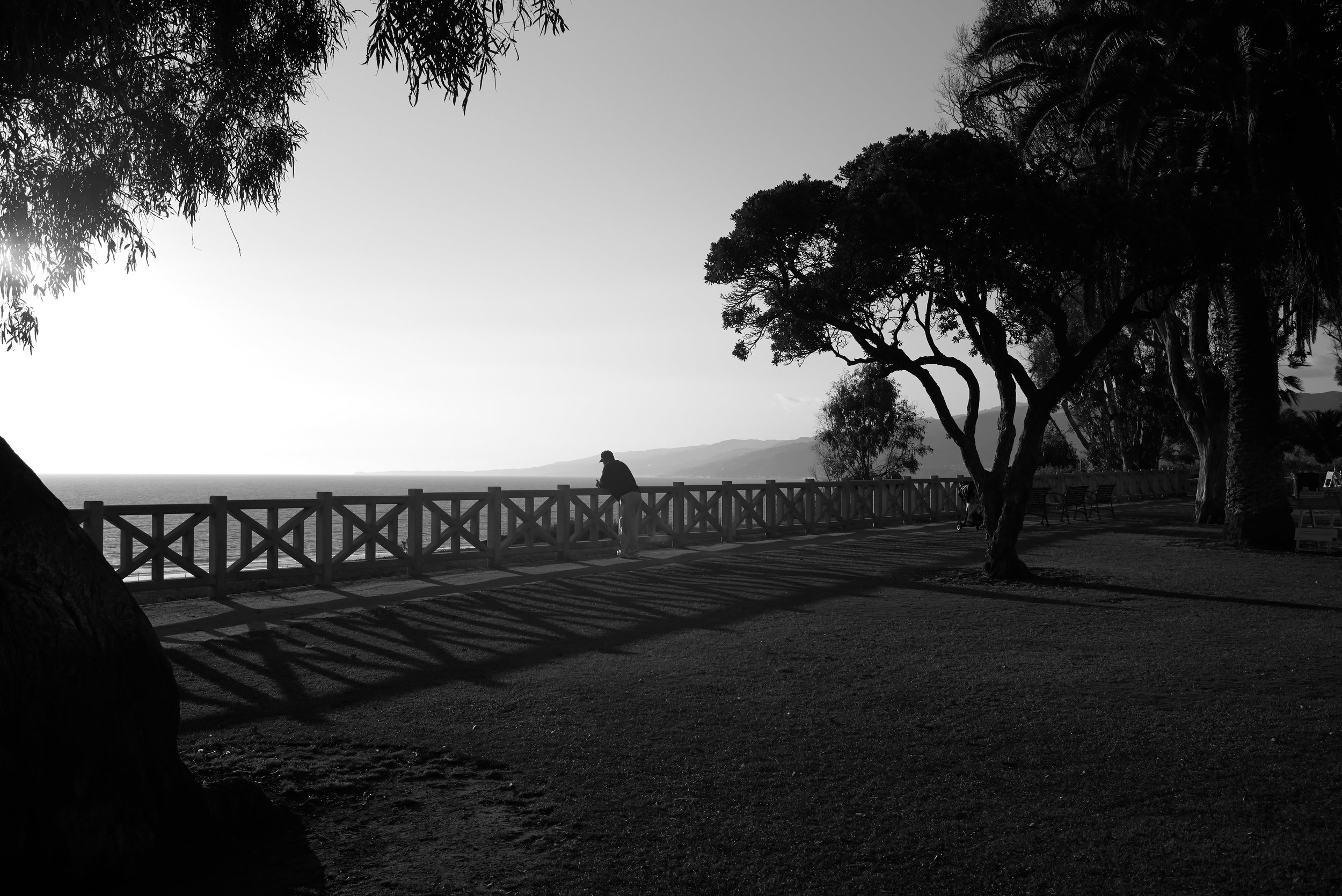 L1000359.jpg