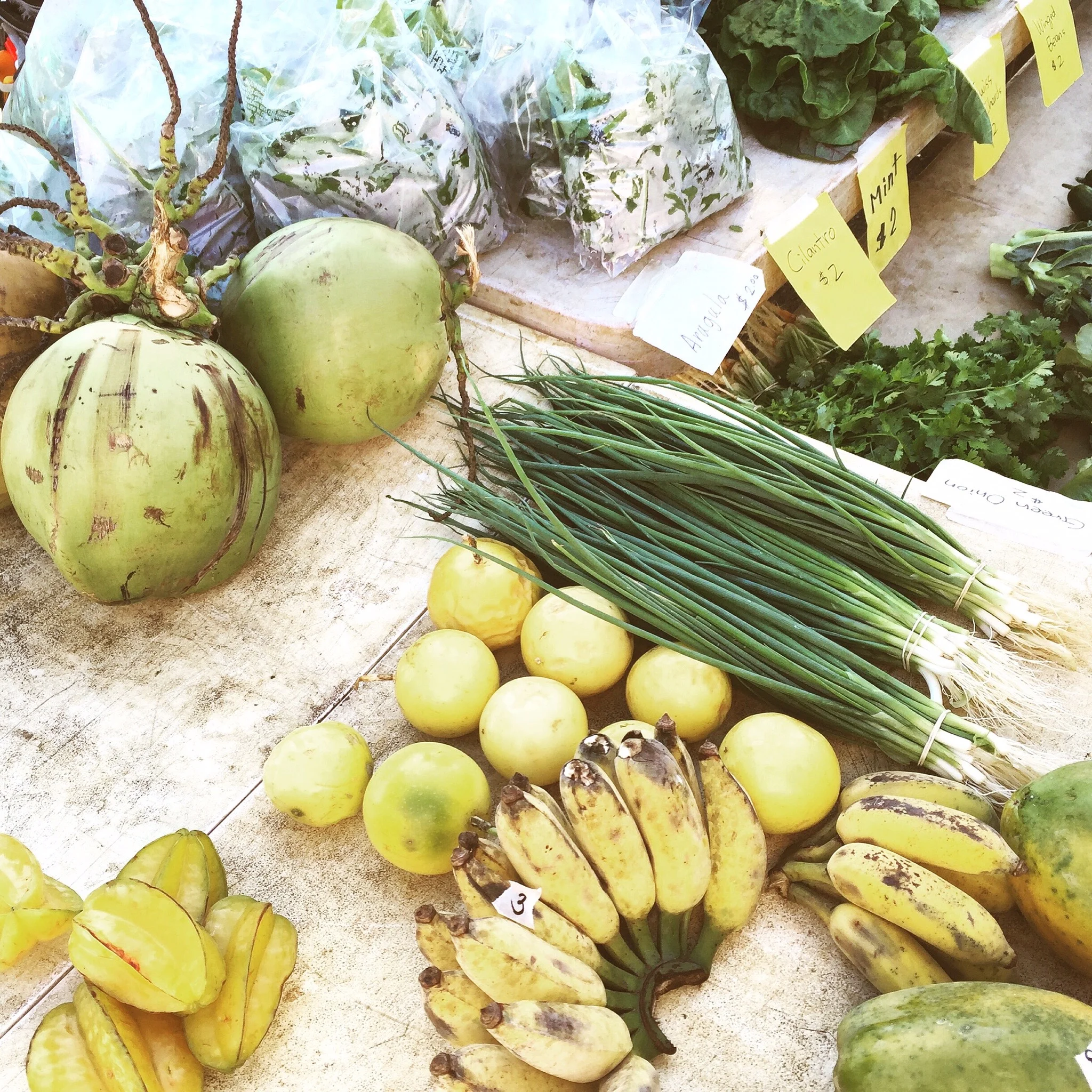 Monday Farmer's Market