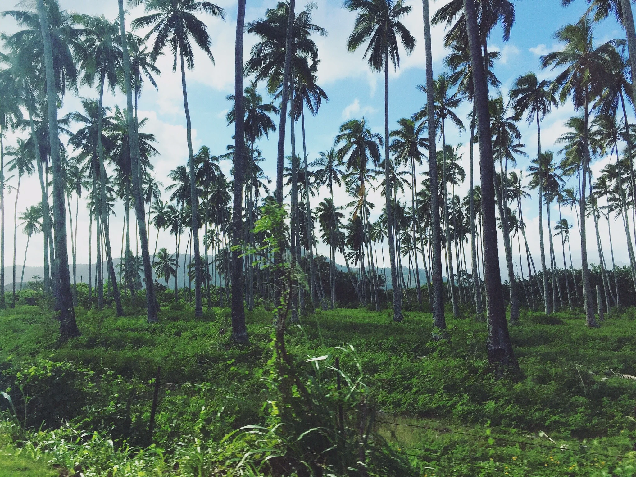 Scenic drive back from the North Shore