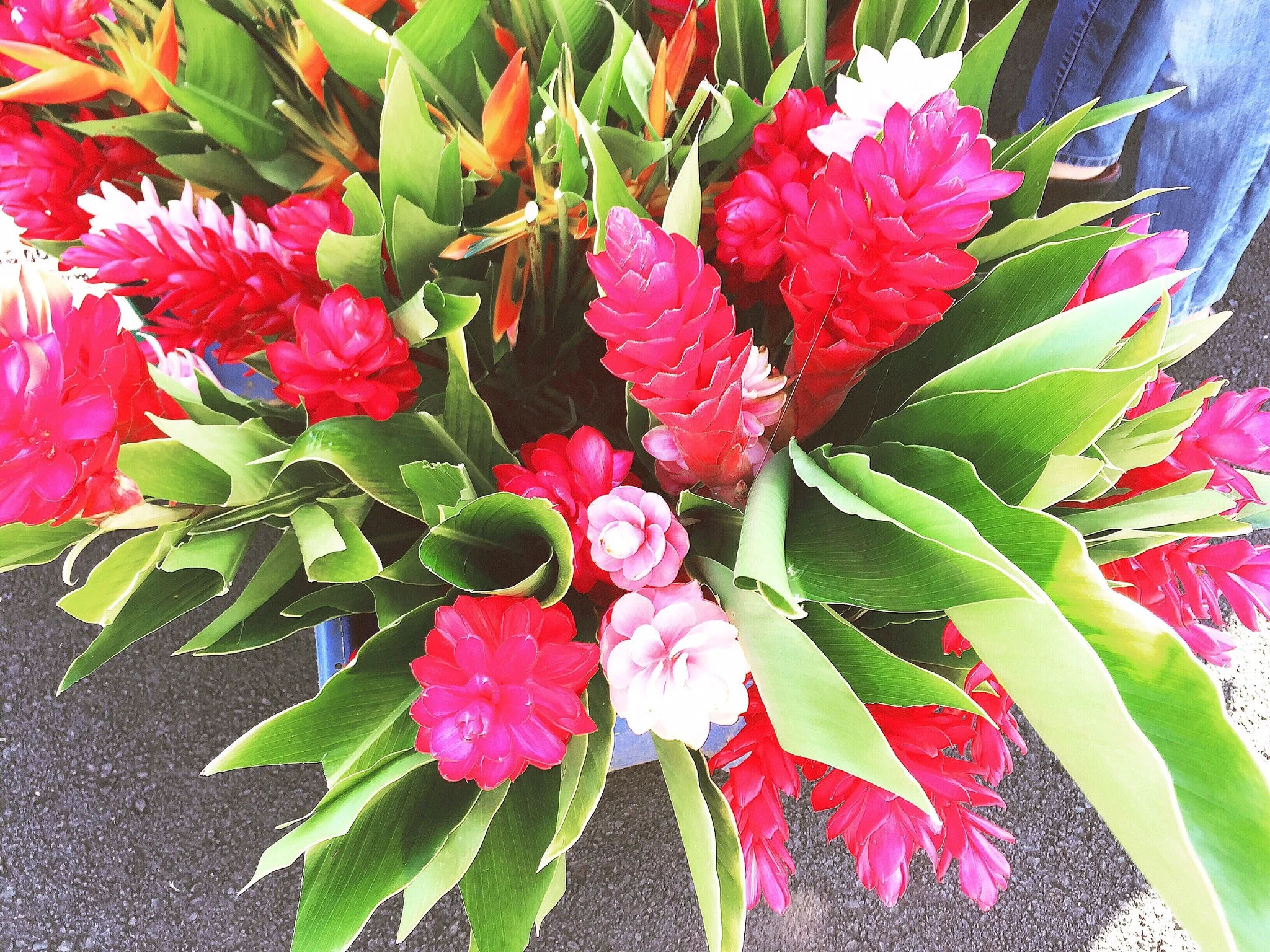 Hawaiian ginger has got to be my new favorite flower