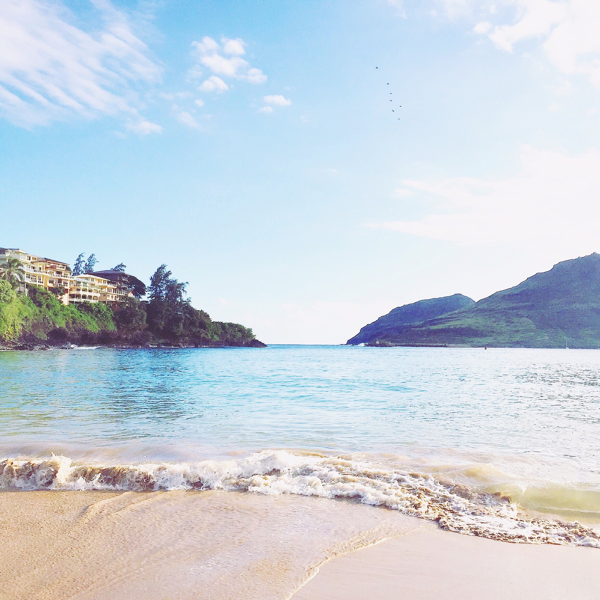 Quaint Kalapaki Beach