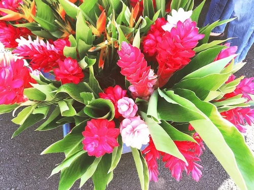 Hawaiian ginger has got to be my new favorite flower