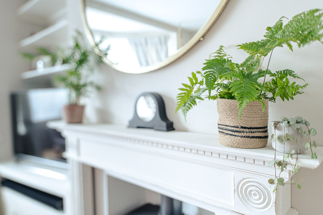 Have you heard about biophilic design? It could be the secret to a