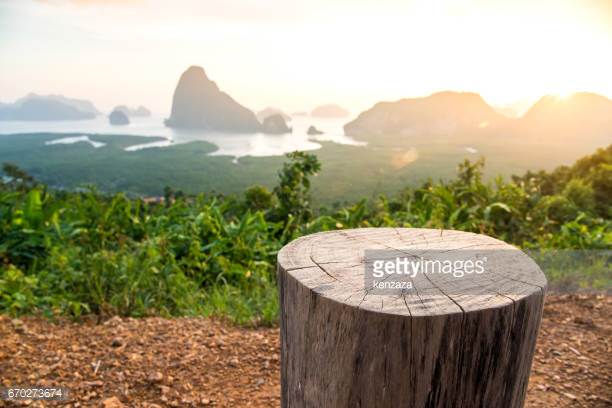 Photo by kenzaza/iStock / Getty Images