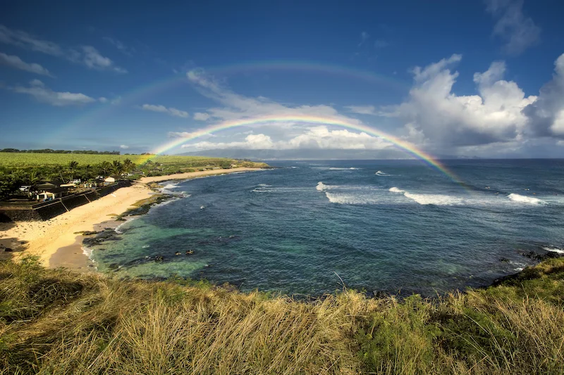 Maui's North Shore: Ho'okipa beach park