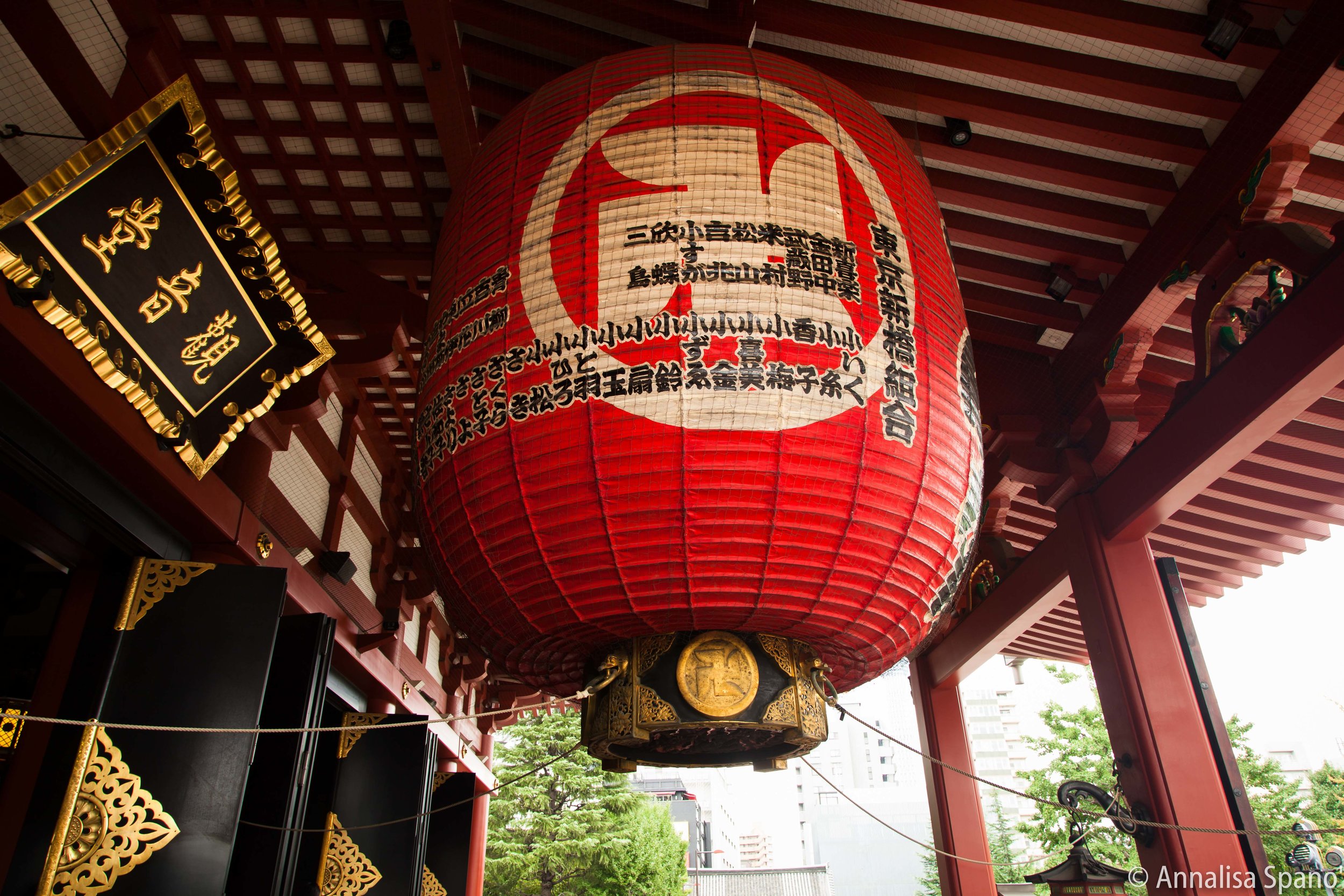 Giappone agosto 2017 bassa-2471.jpg