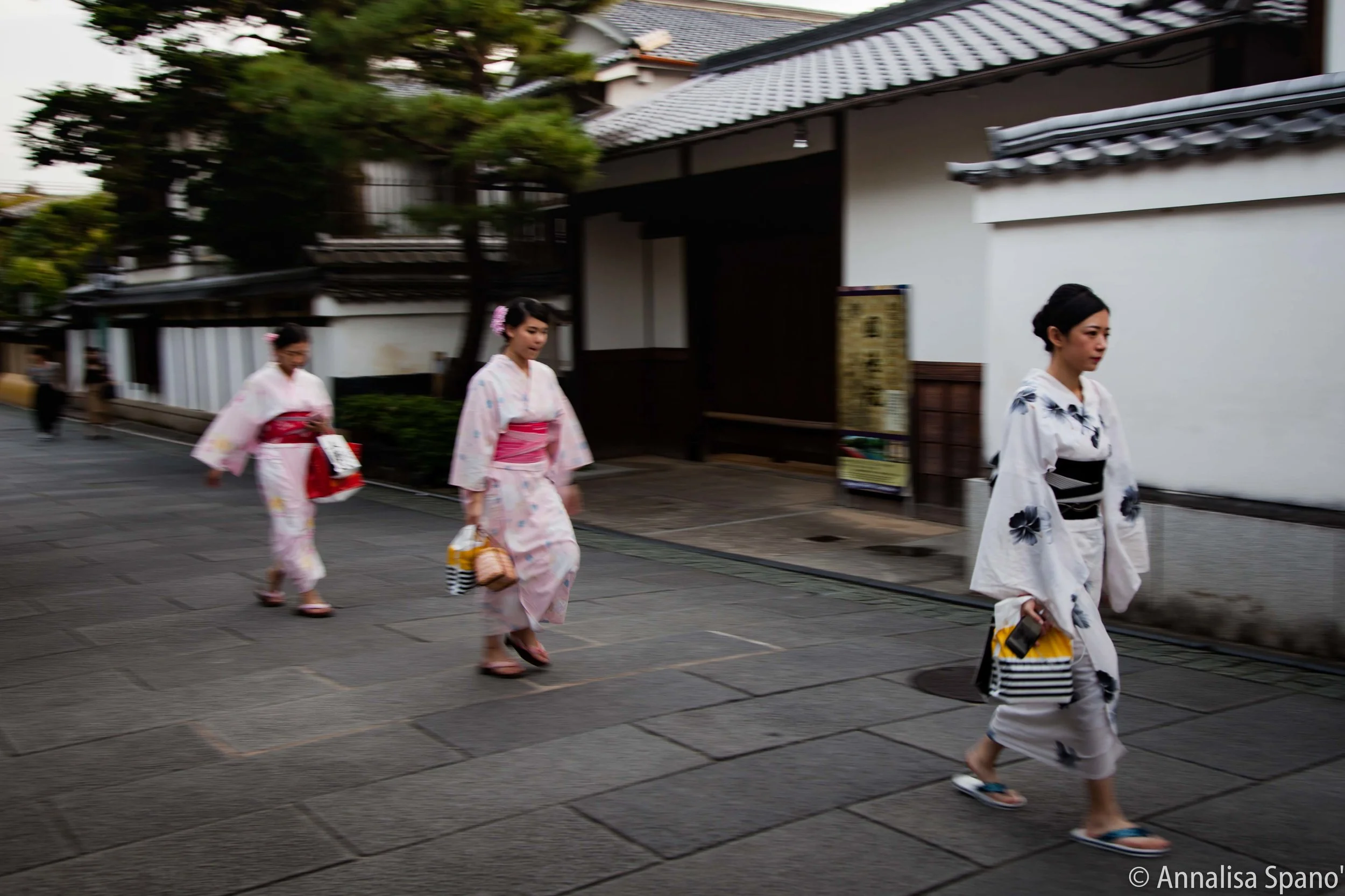 Giappone agosto 2017 bassa-2933.jpg