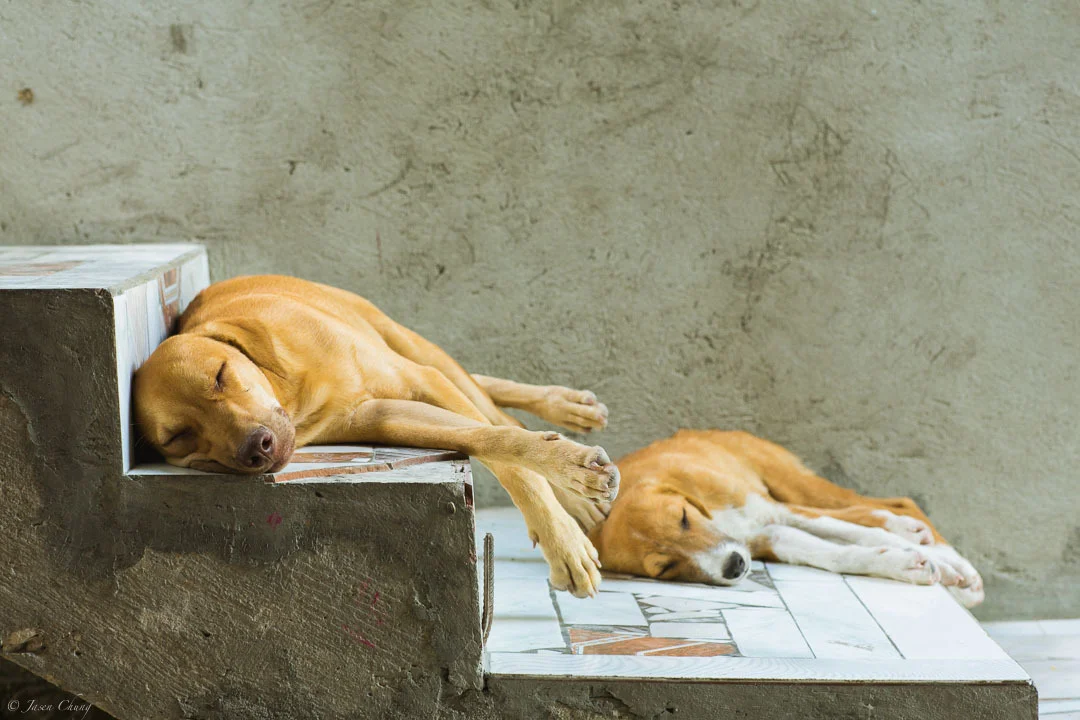 haiti2013-6298.jpg