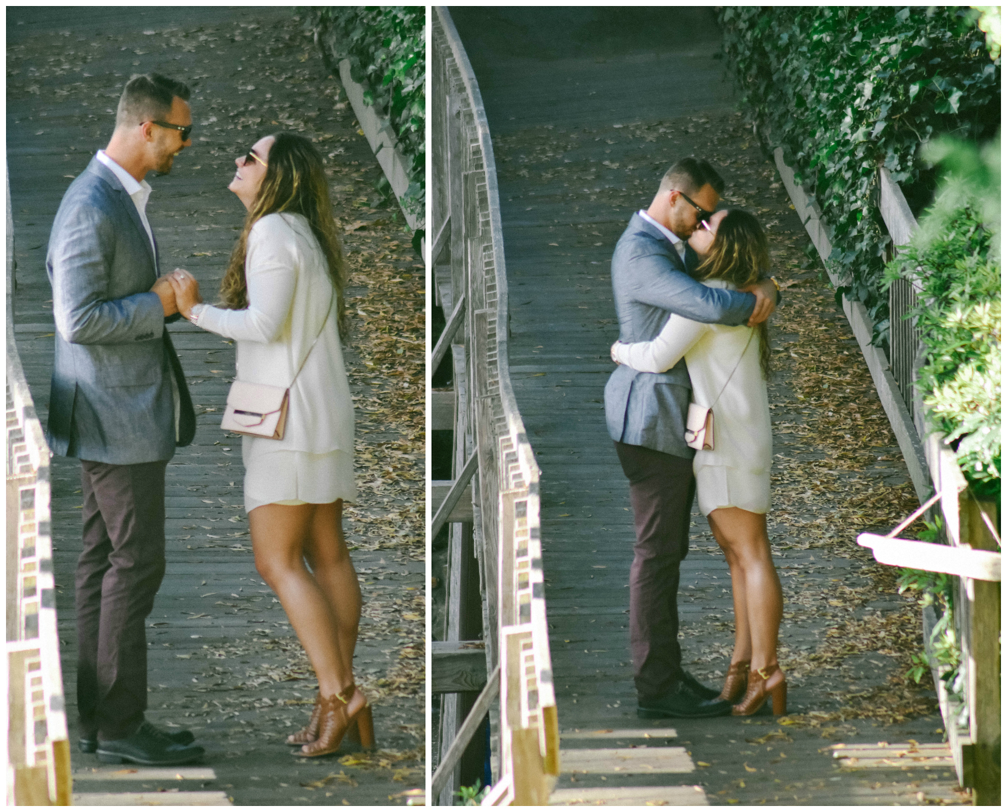 Carmel Proposal Collage 2.jpg