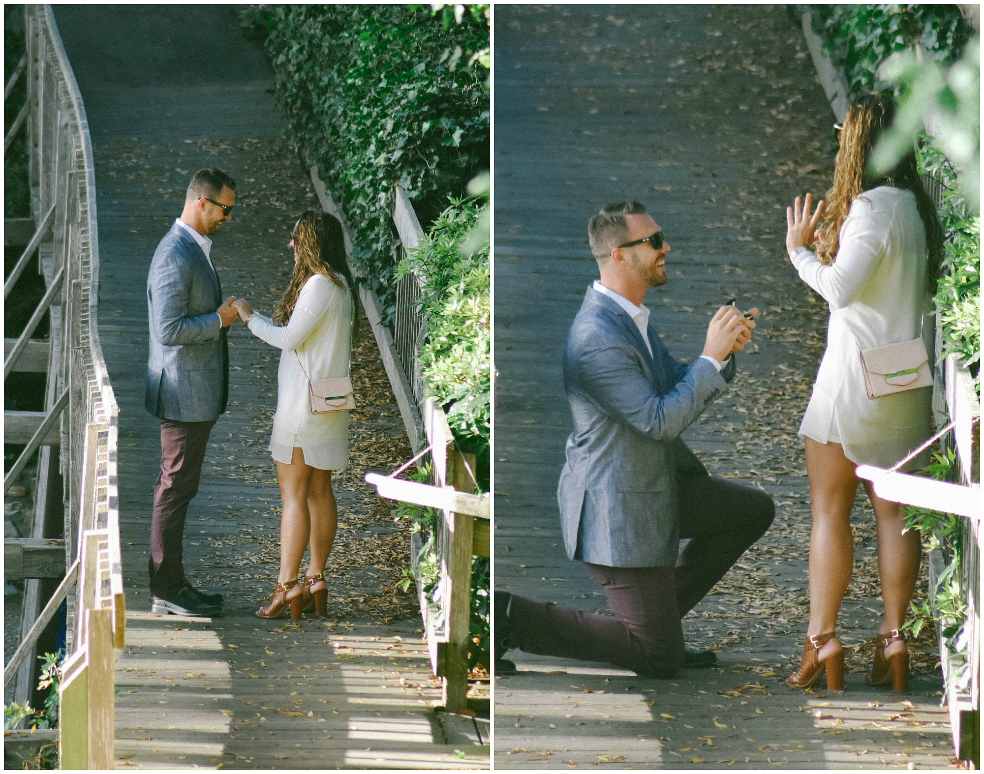 Carmel Proposal Collage 1.jpg