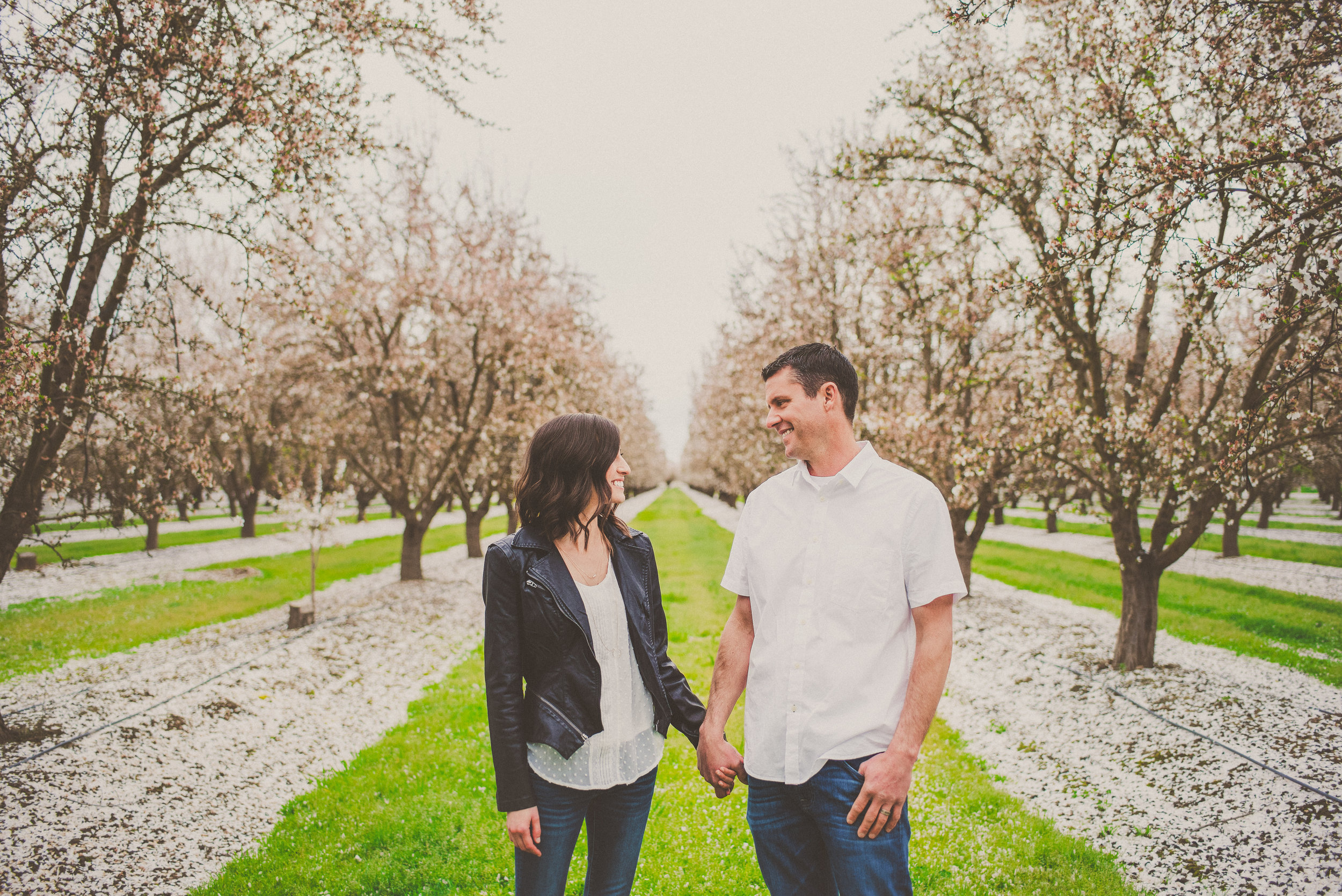 Almond Blossom Family Portraits-8.jpg