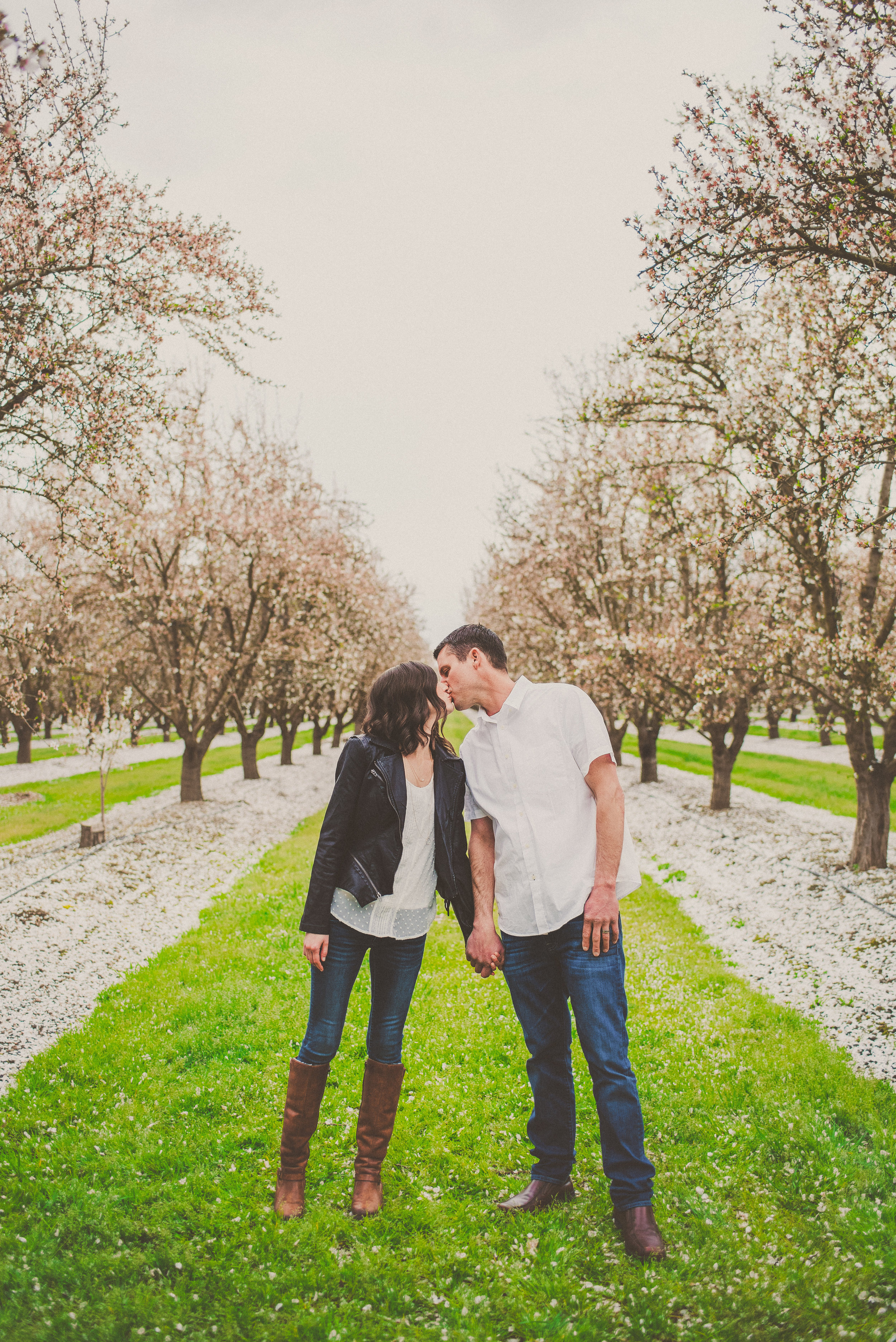 Almond Blossom Family Portraits-9.jpg