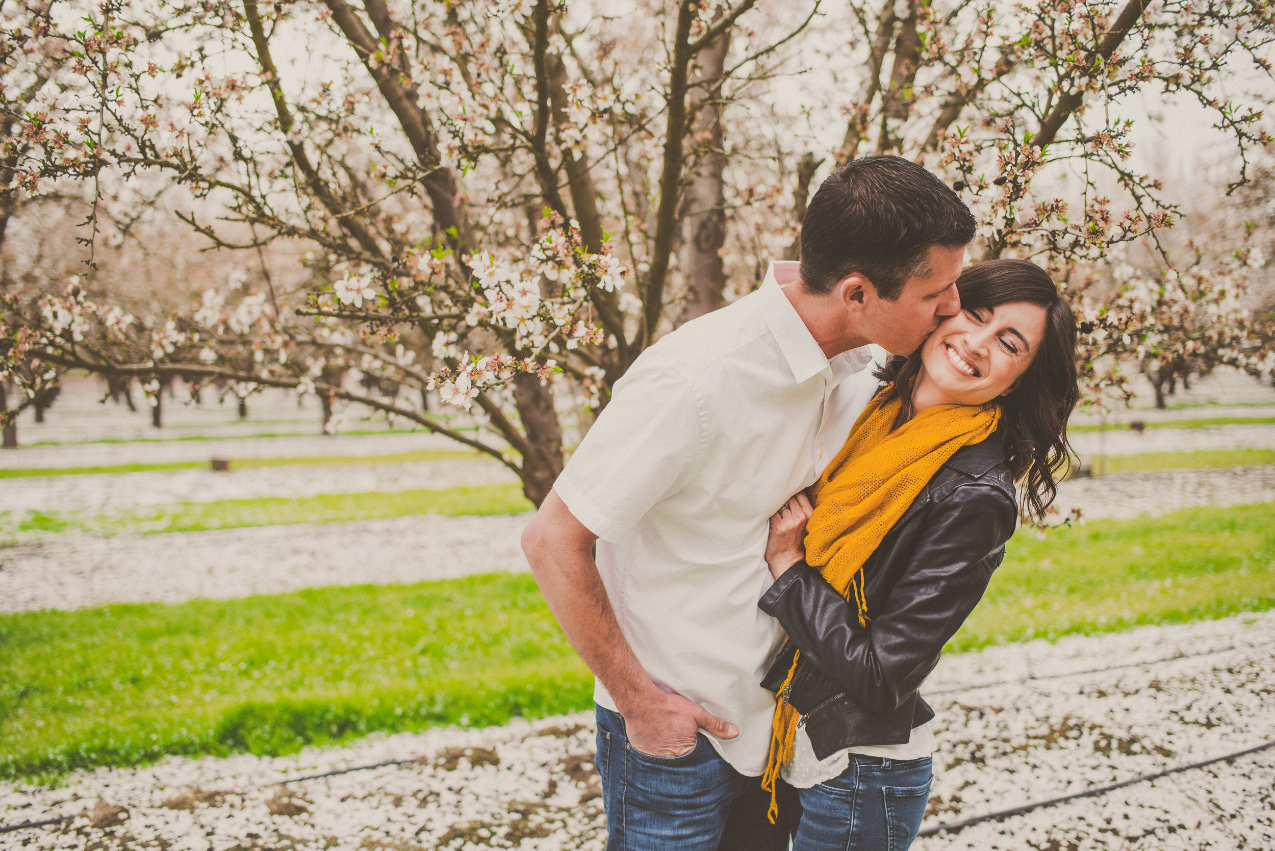 Almond Blossom Family Portraits-13.jpg