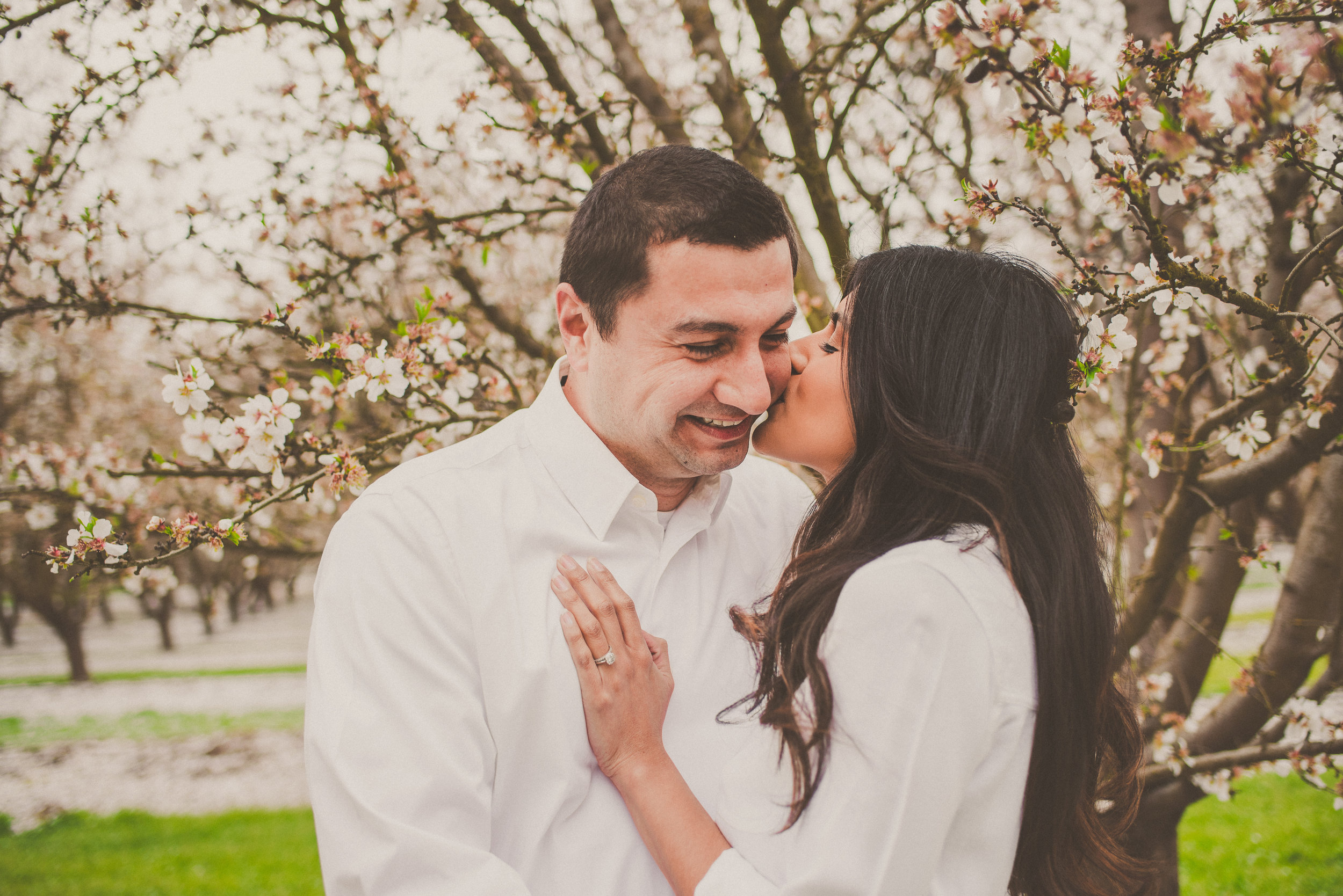 Almond Blossom Family Portraits-19.jpg