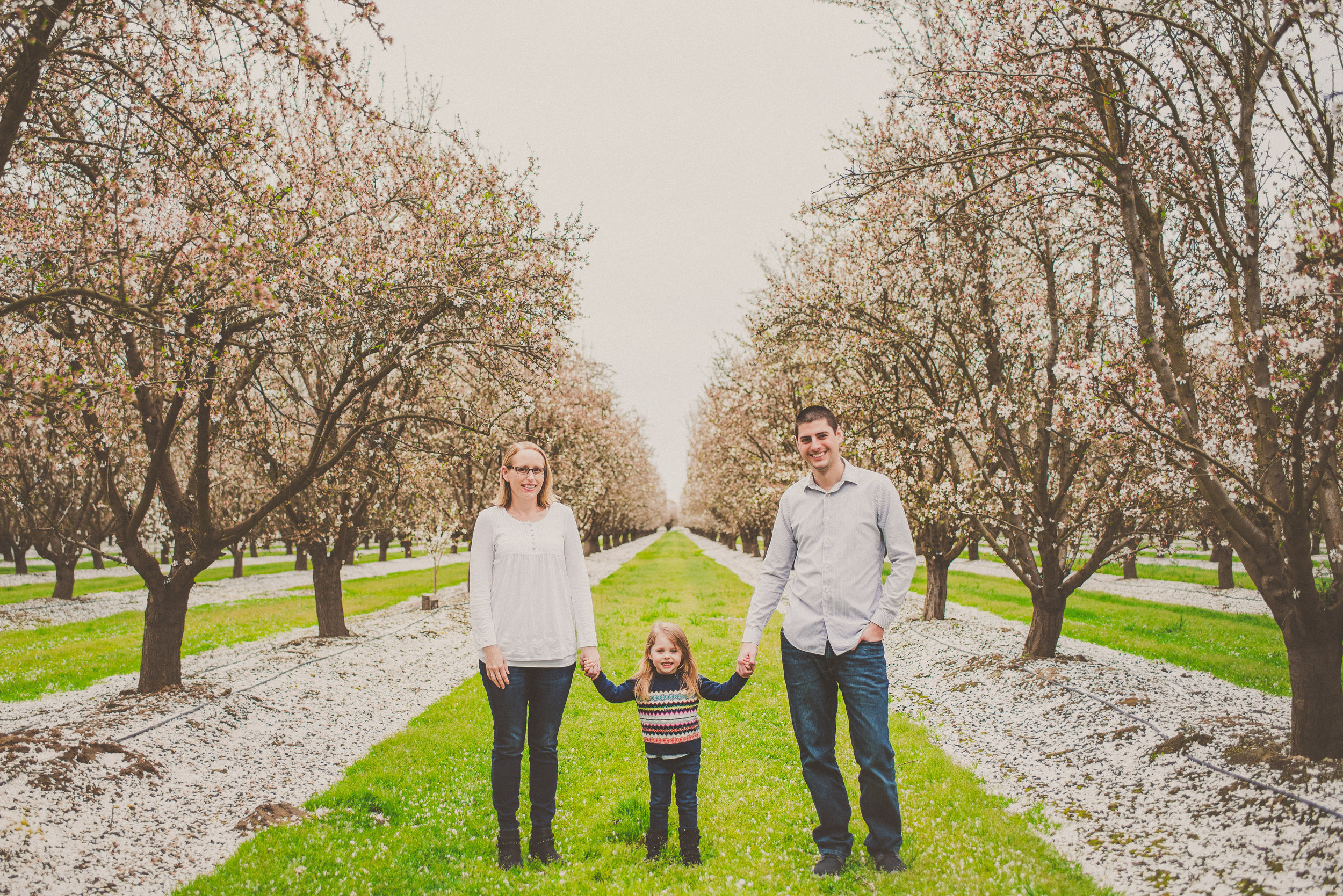 Almond Blossom Family Portraits-20.jpg