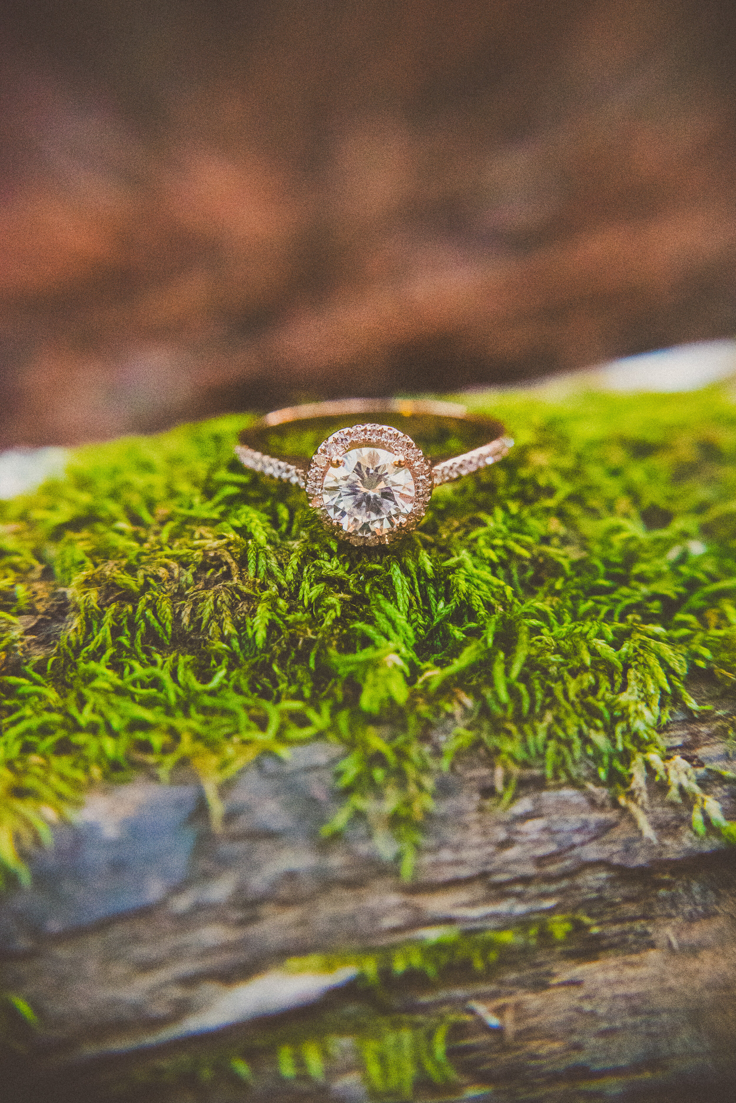 Jordan & Sara - Big Sur Proposal-18.jpg