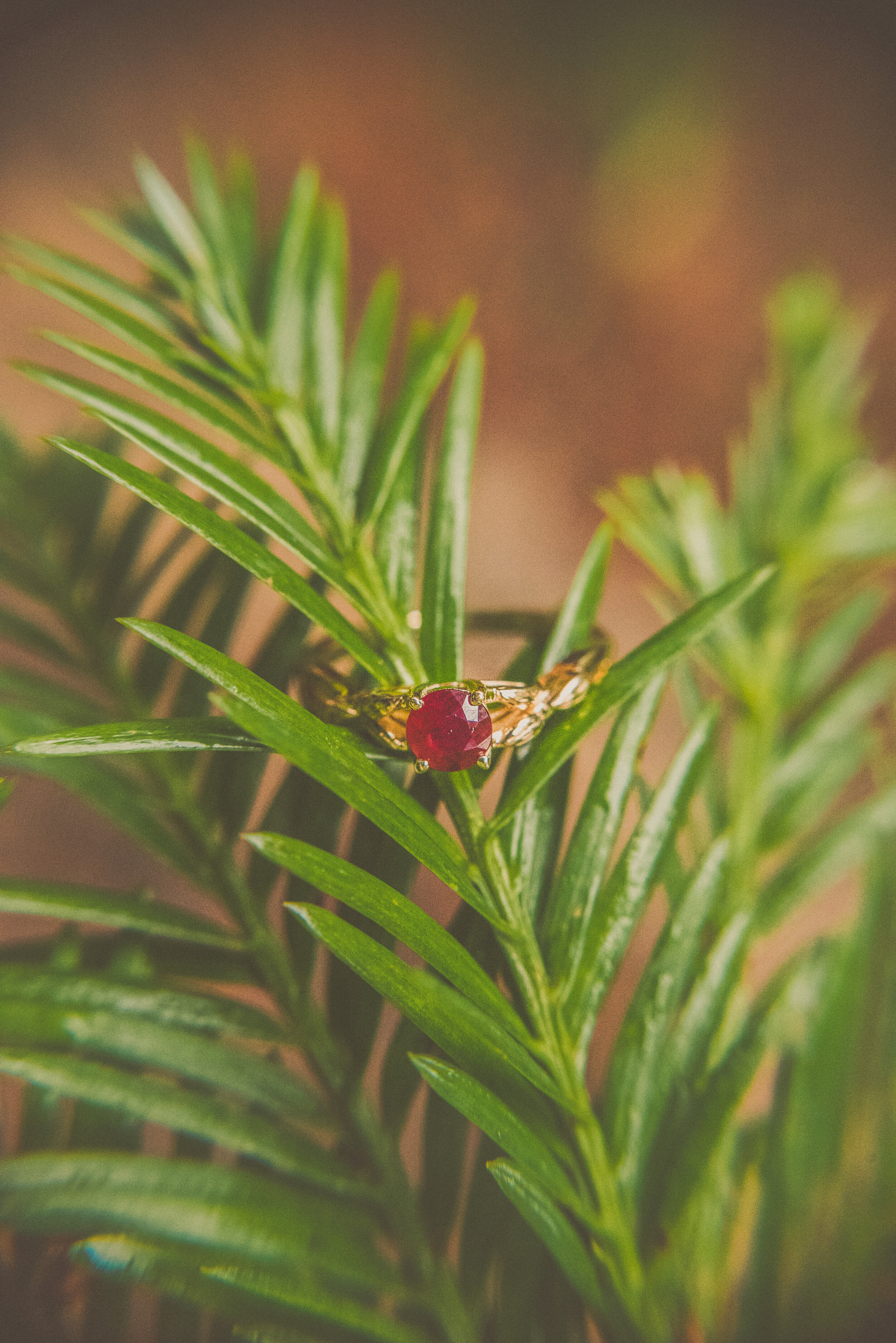 2019 Amit & Yani Proposal-51.jpg