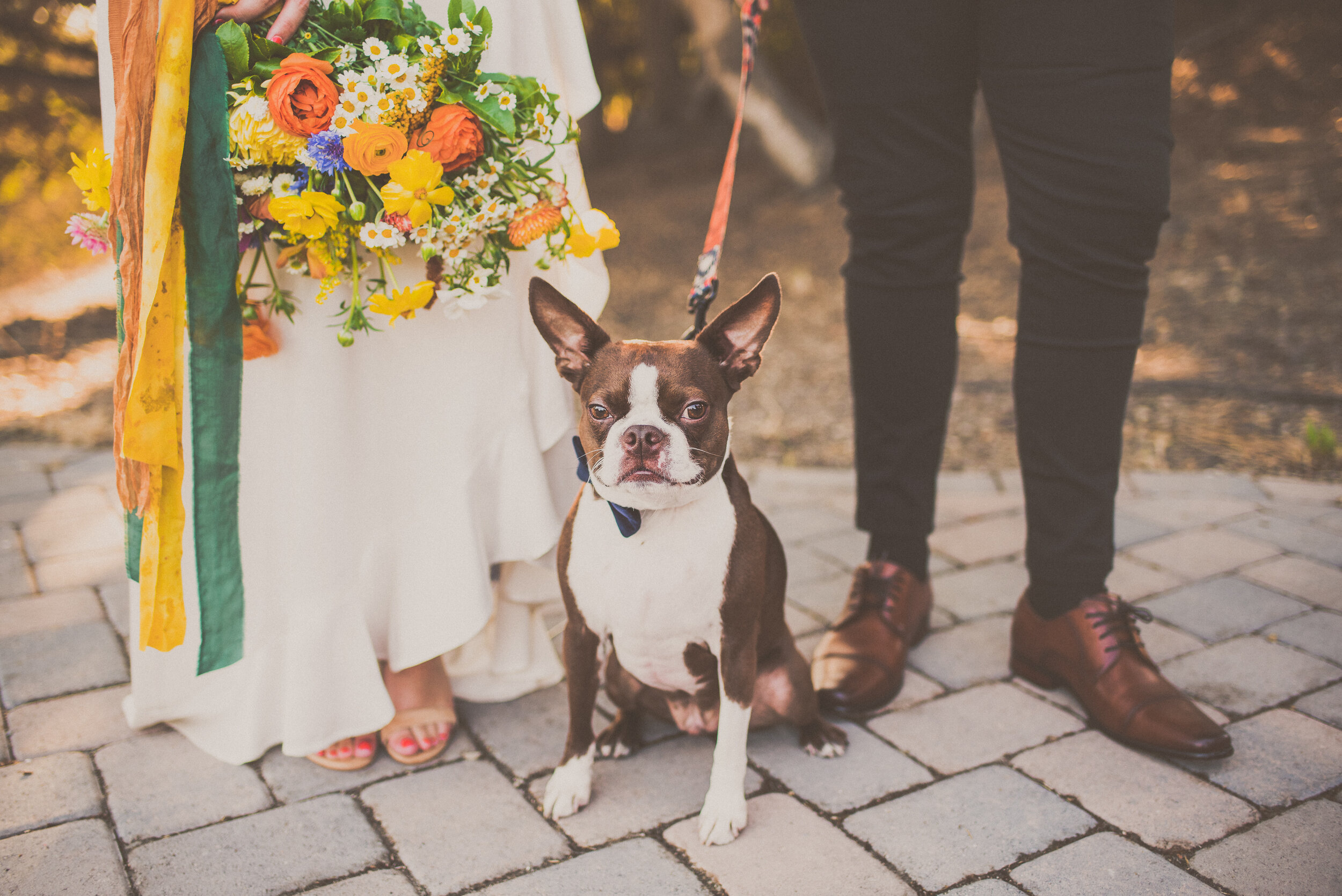 2019 Limpic Wedding - Bride & Groom Portraits-1.jpg