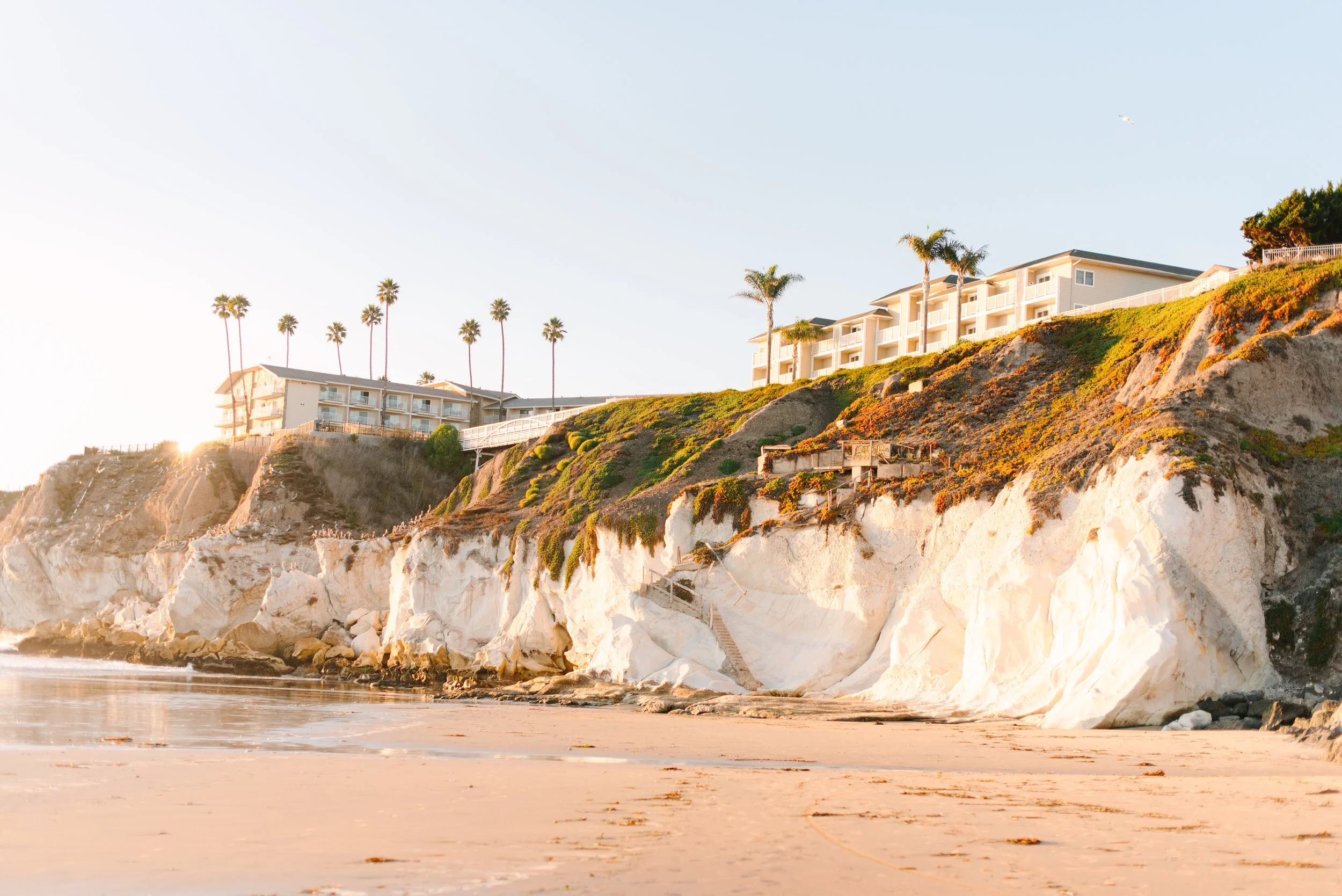 2025 Kym & Derek-1.jpg