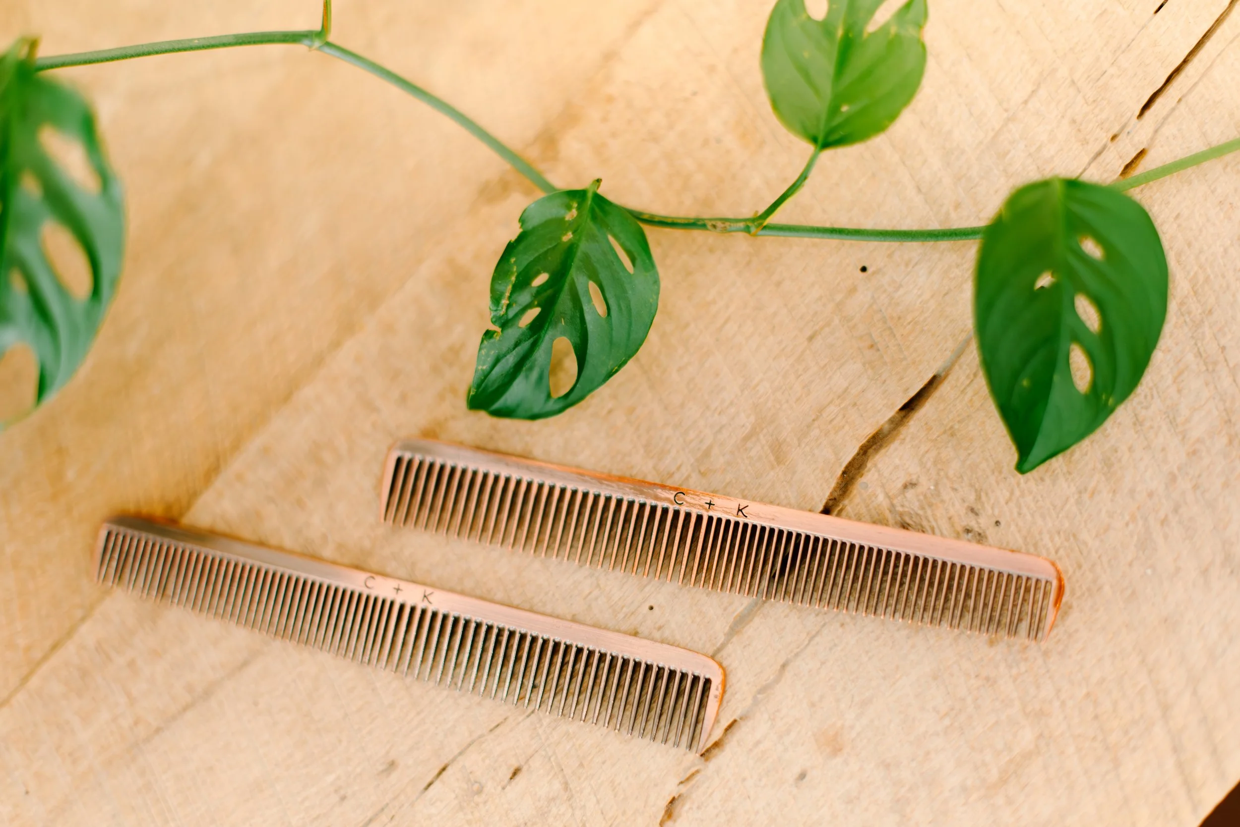 2025 Salon - Gabi Edits-2.jpg