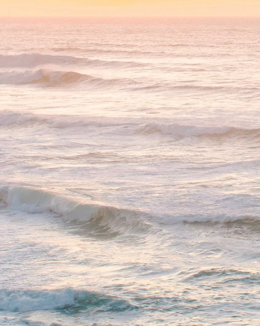 it&rsquo;s Ari &amp; Matt&rsquo;s wedding weekend 🥳🥰 here&rsquo;s some favorites from their engagement session last fall ✨🌅🌊🌲💍