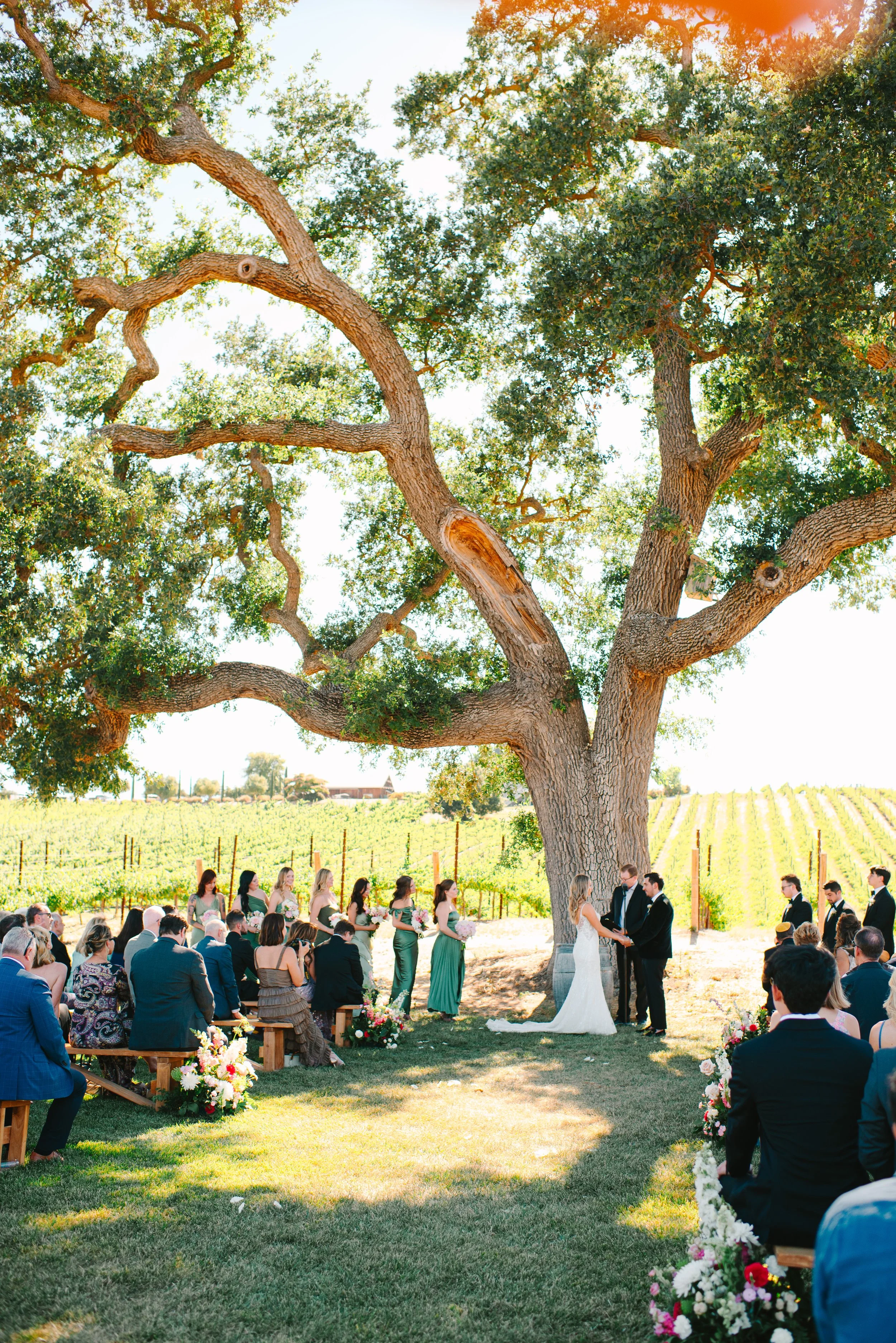 2024 Ella's Vineyard Wedding-12.jpg