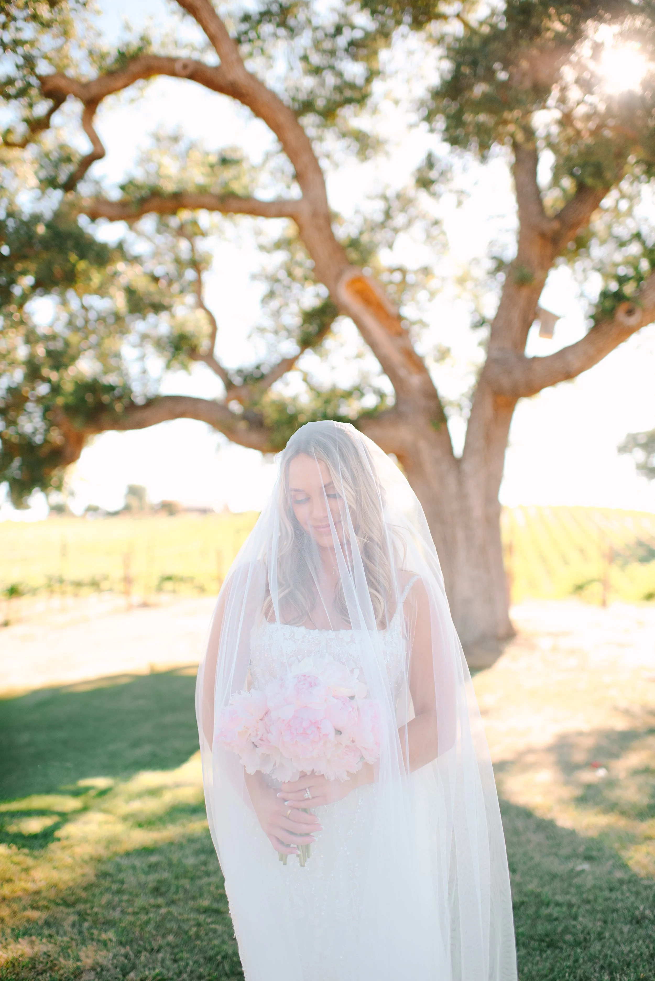 2024 Ella's Vineyard Wedding-15.jpg
