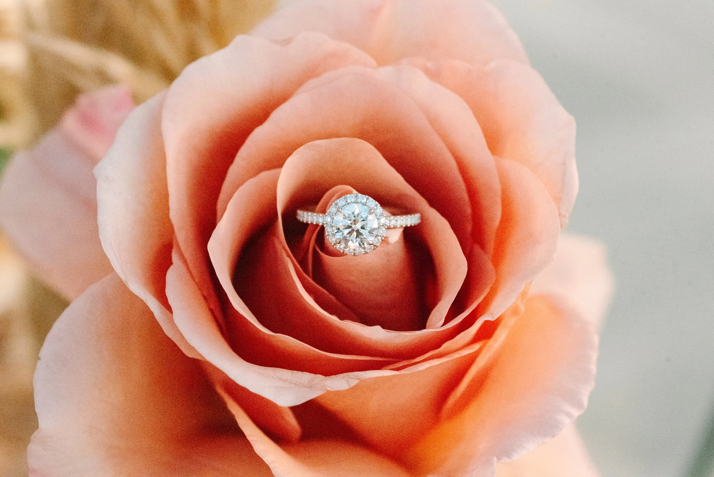 2026 Kunyu & Josie Proposal-89.jpg