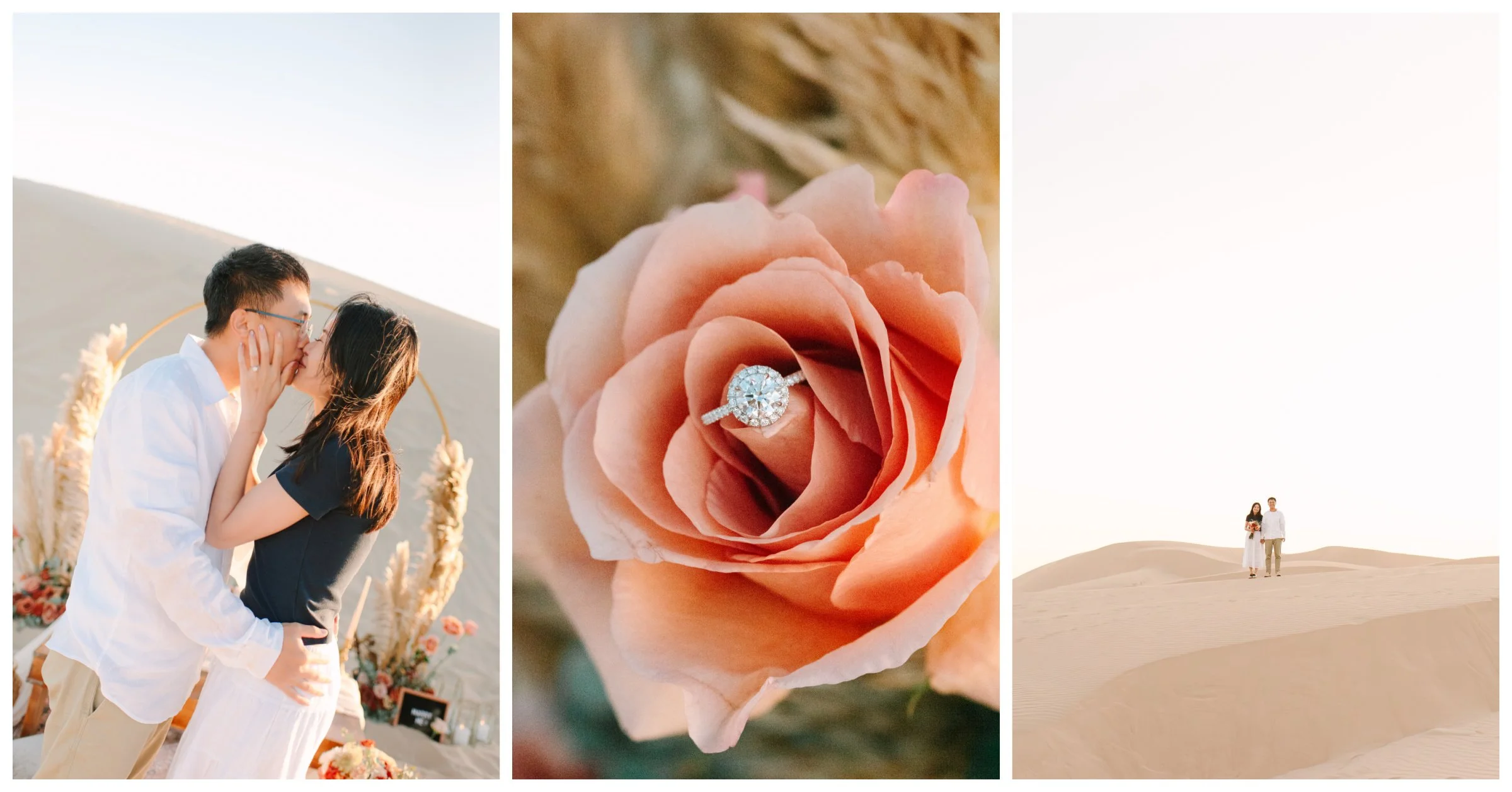 0 2024 Website Homepage Collage -1.jpg
