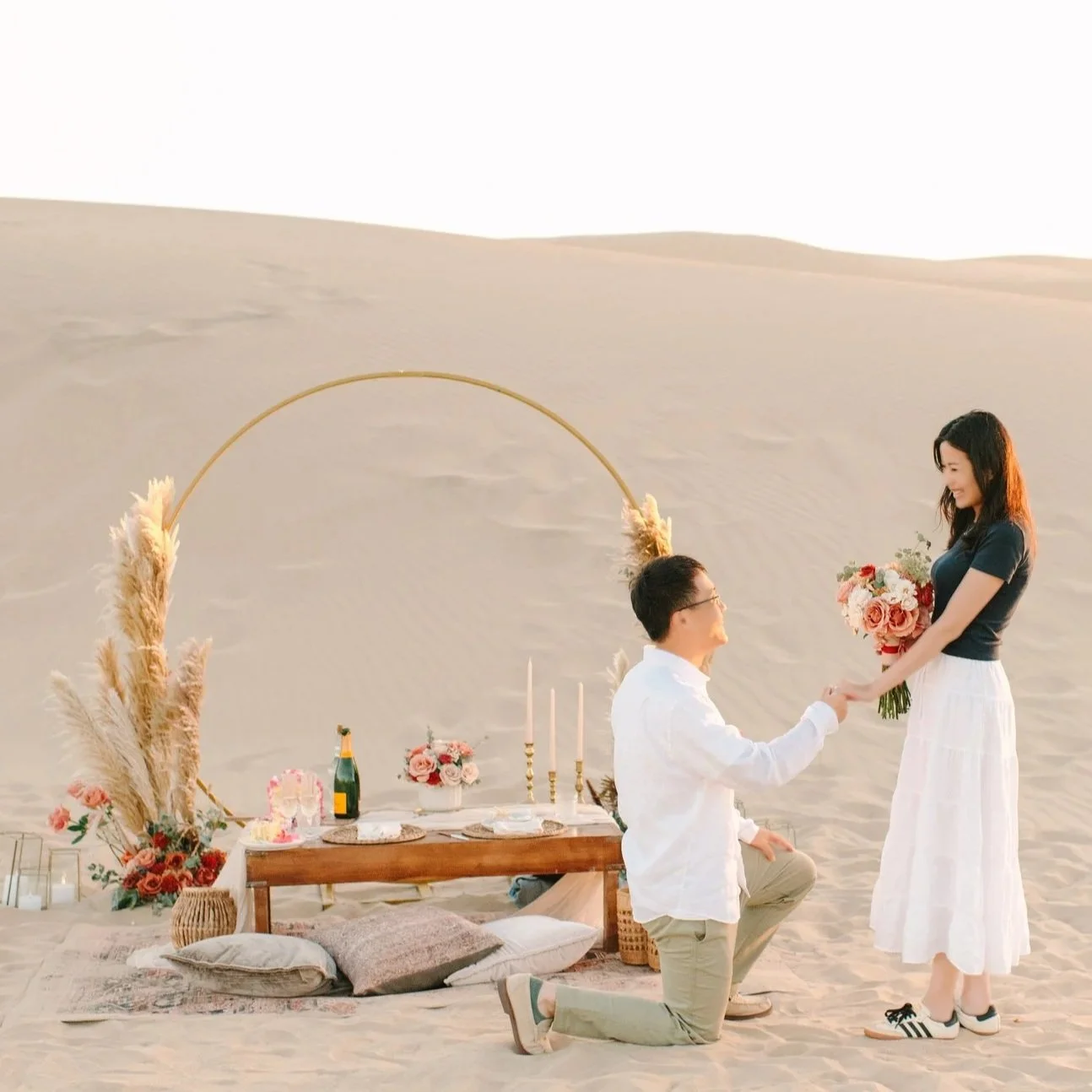 Oceano Dunes Proposal