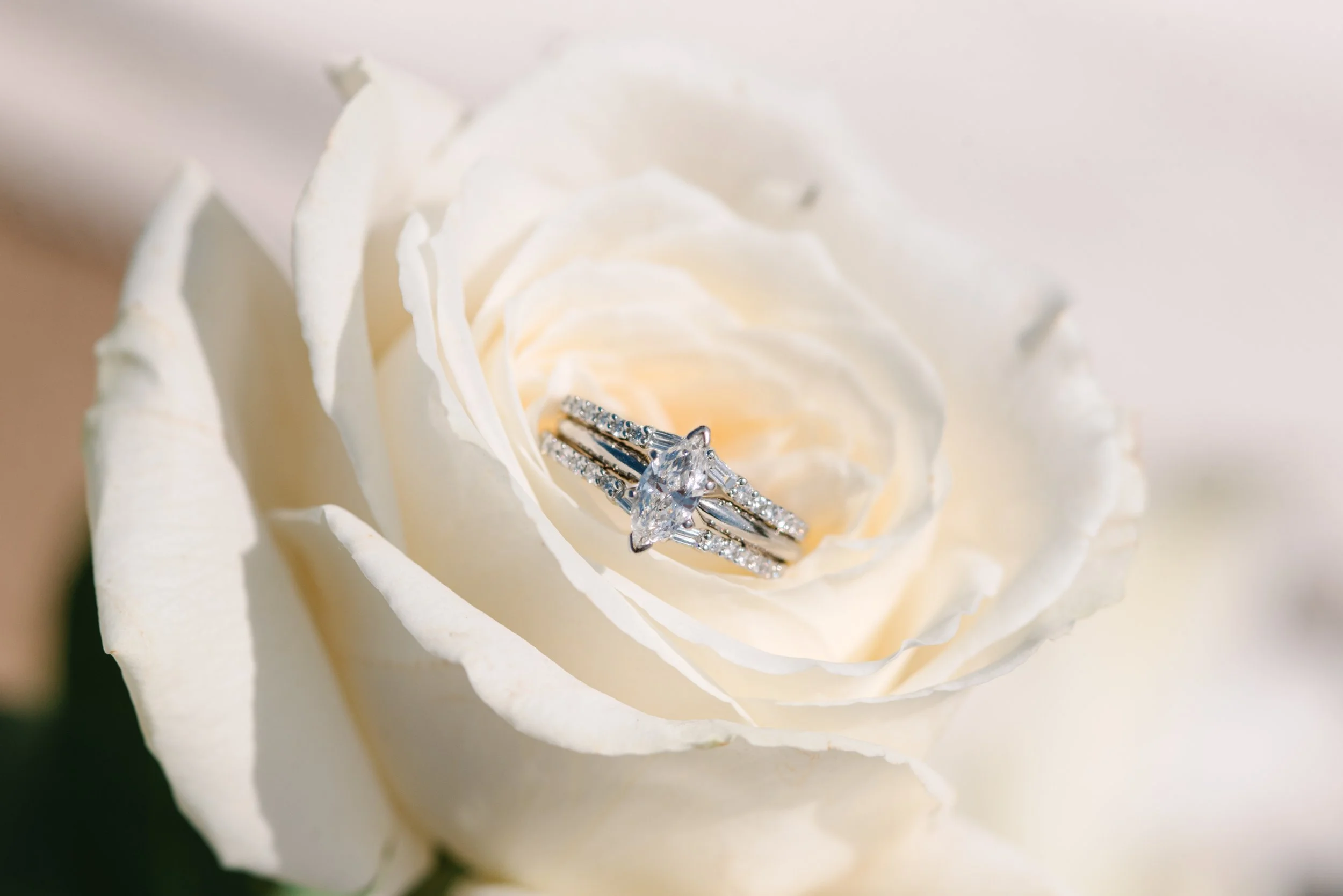 2027 Katrina & Ronald Proposal-51.jpg