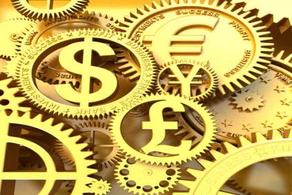 Foreign Currency Accounts