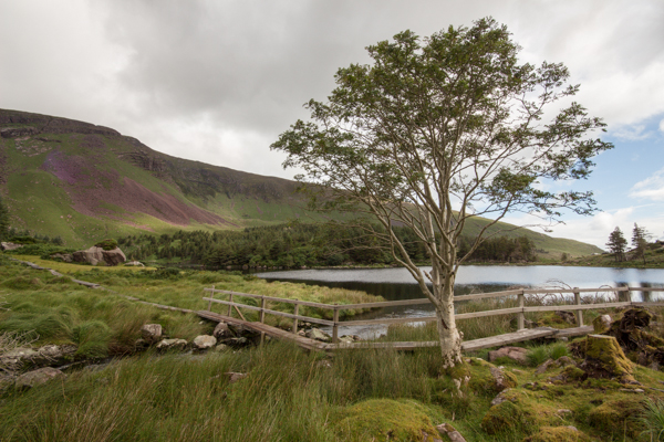 20160712_Kerry Holidays151-22.jpg