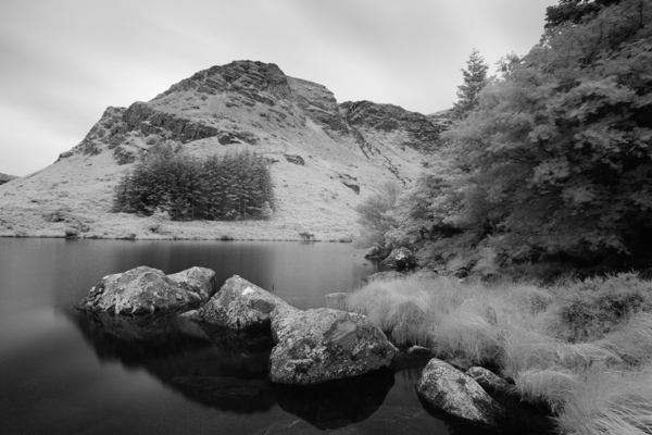 F11 at 100 sec exposure using IR Filter